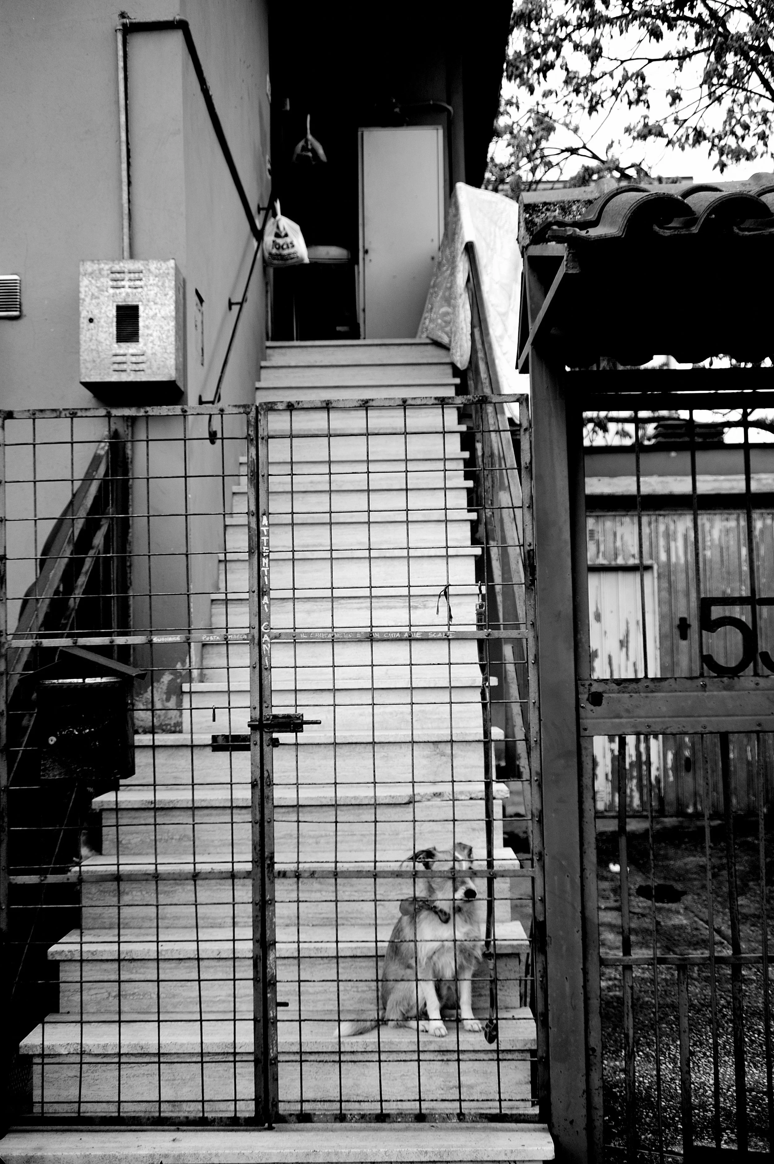 quartiere italia _3067.JPG