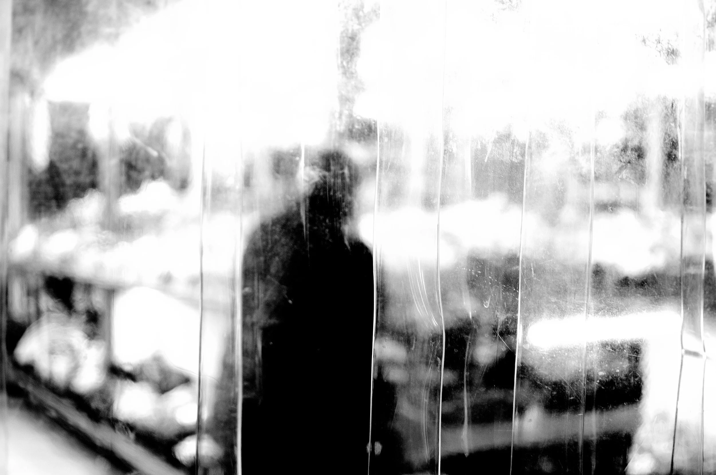 mercato delle erbe4_429.JPG