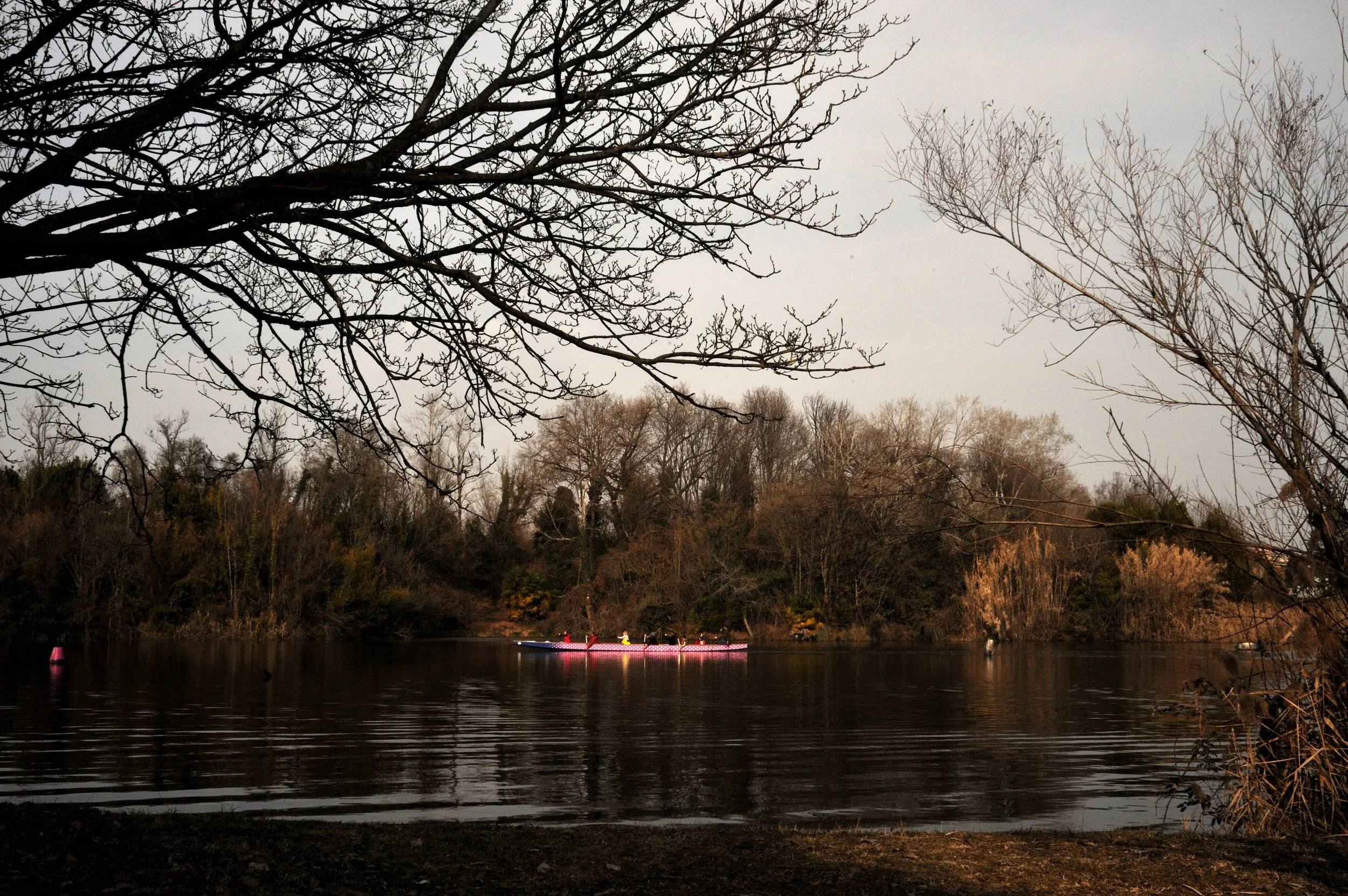 a cavallo a carnevale_4950.JPG