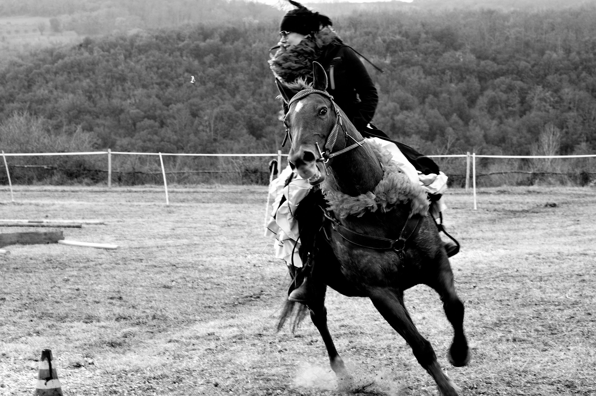 a cavallo a carnevale_4650.JPG