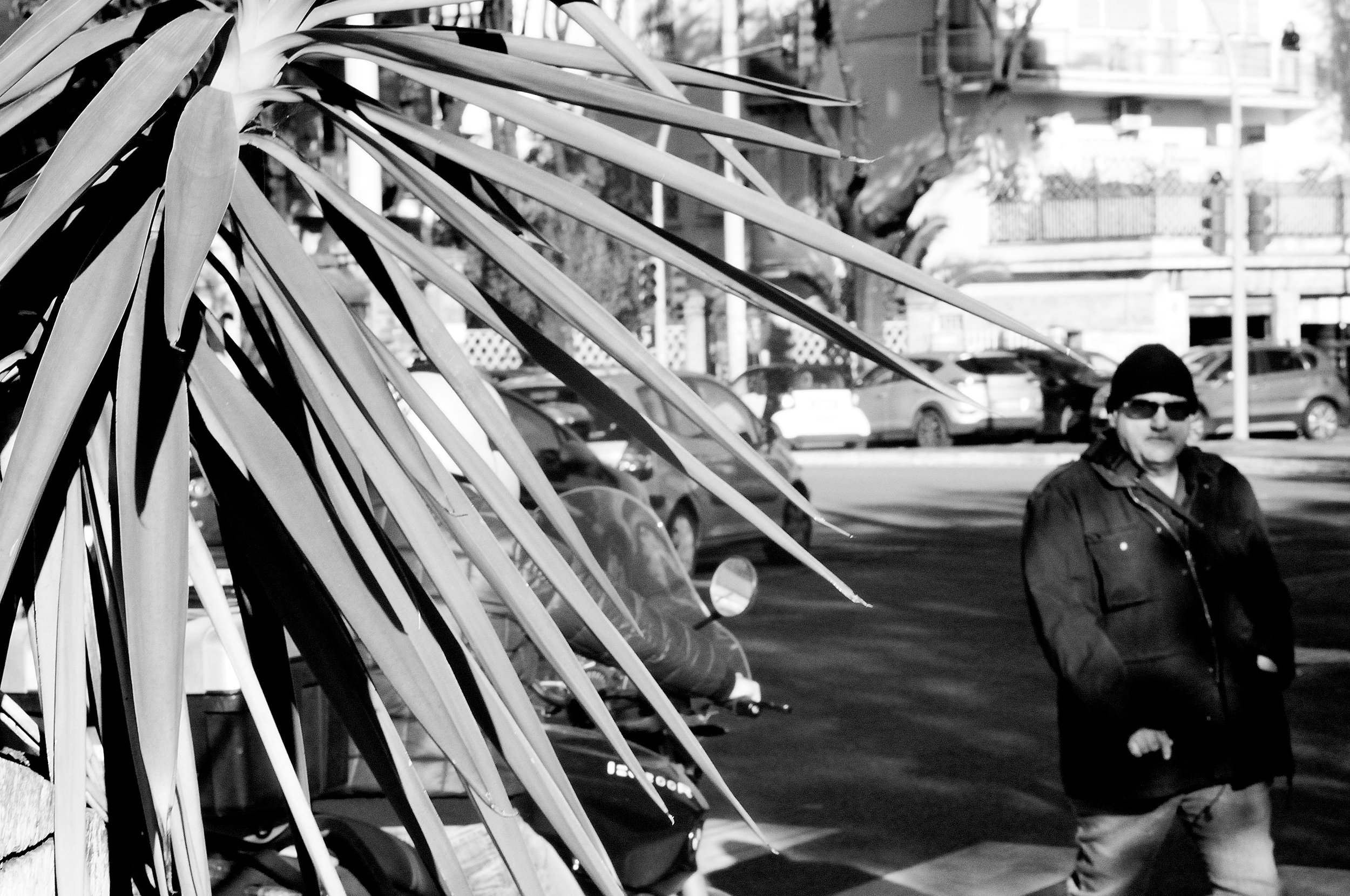 ple adriatico mercato esterno_1303.JPG