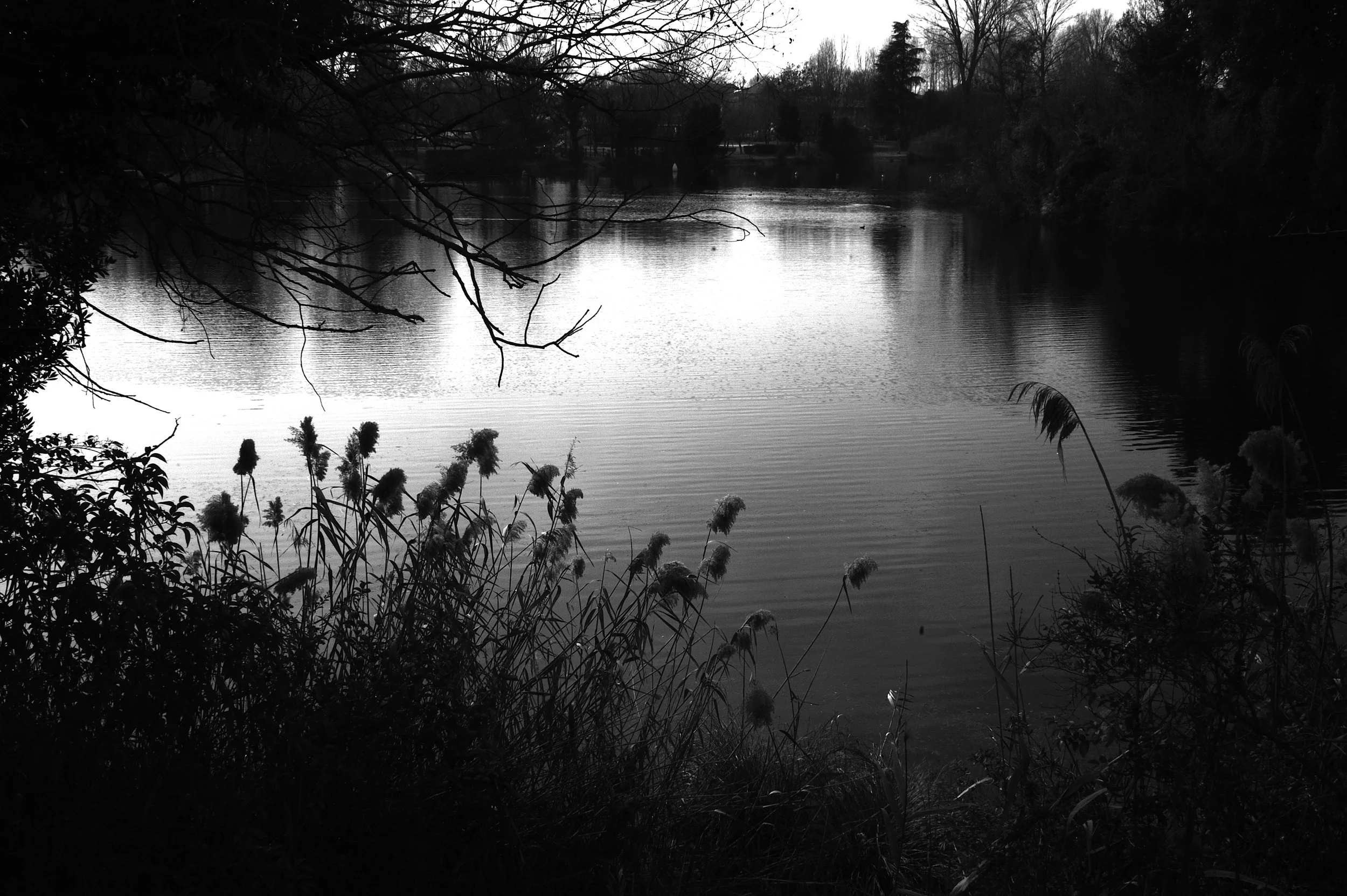 a cavallo a carnevale_4920.JPG