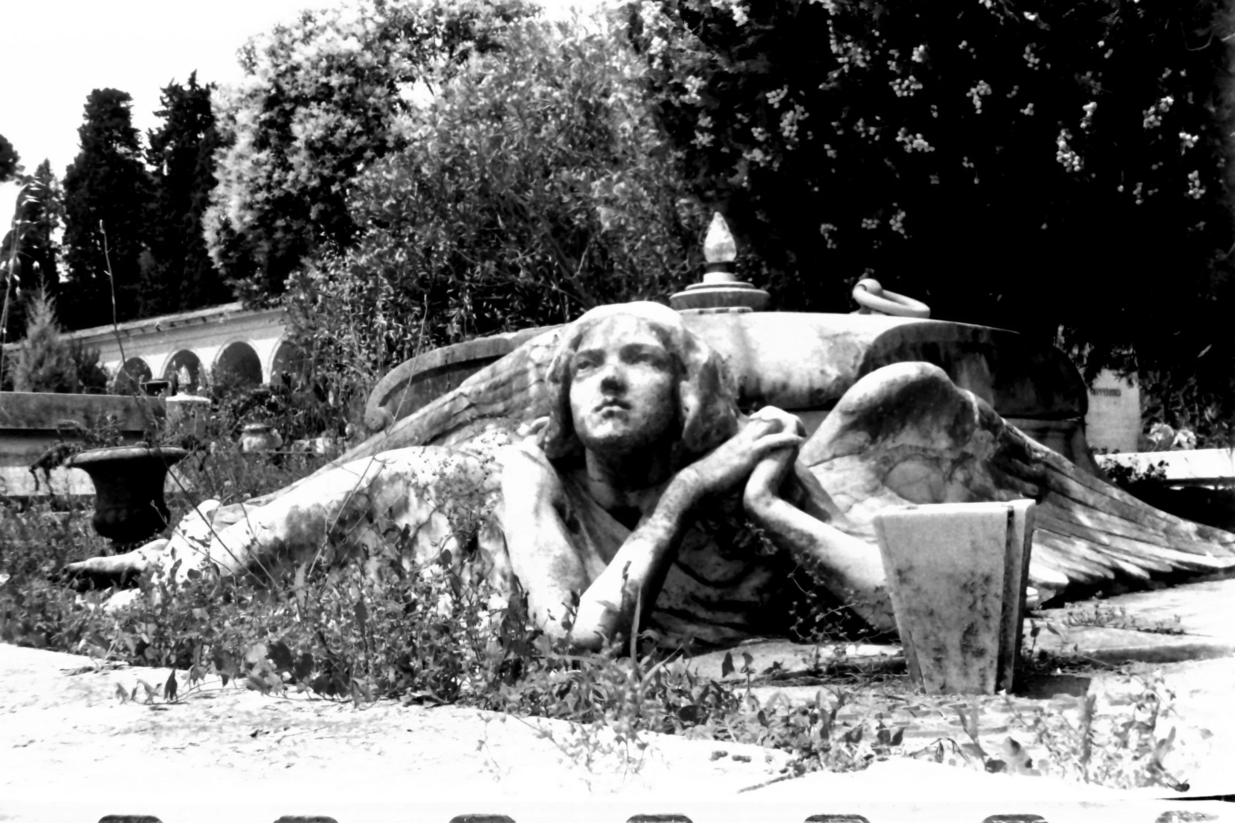 cdm mario paola_8136.JPG