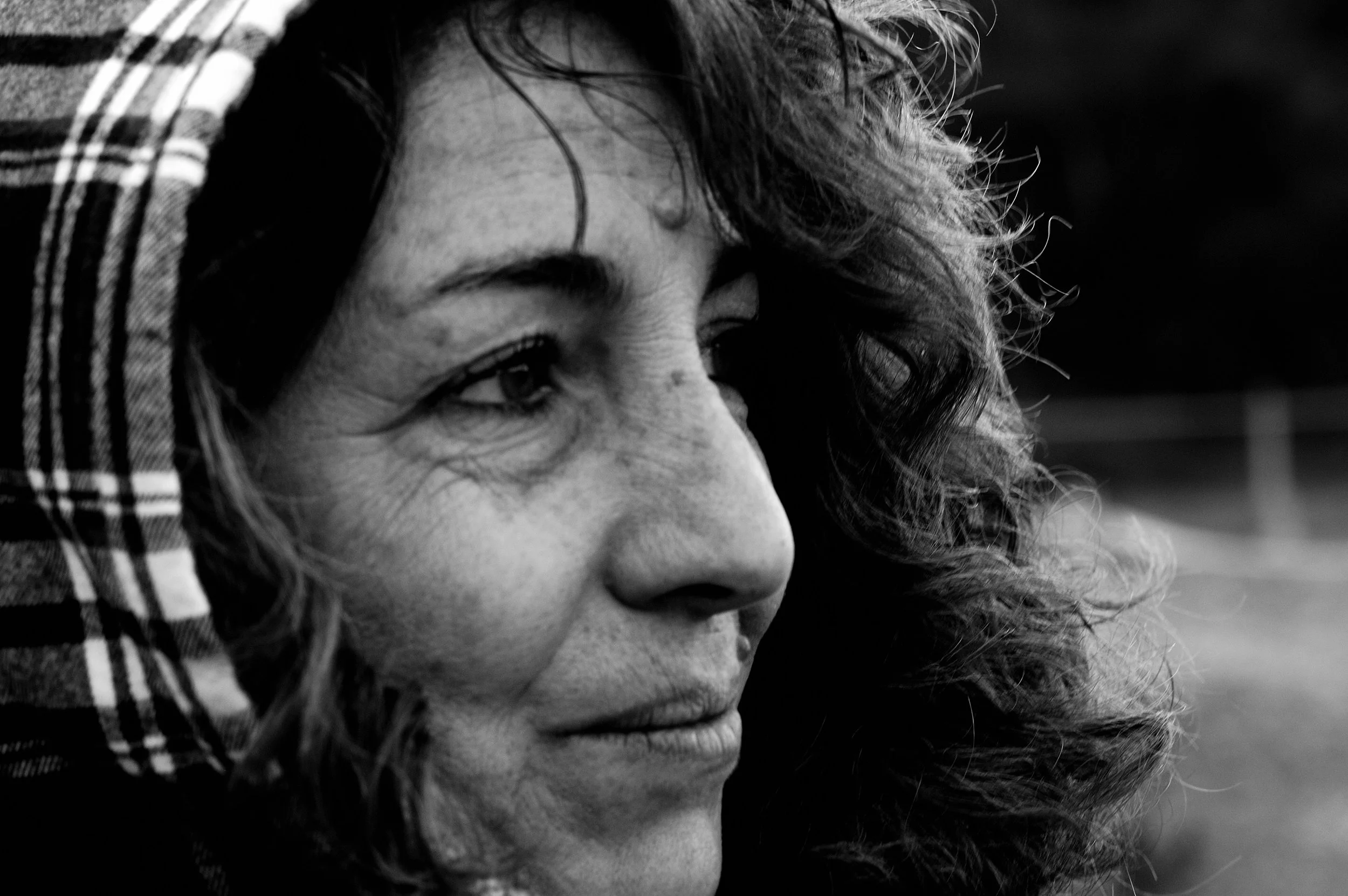 a cavallo a carnevale_4677.JPG