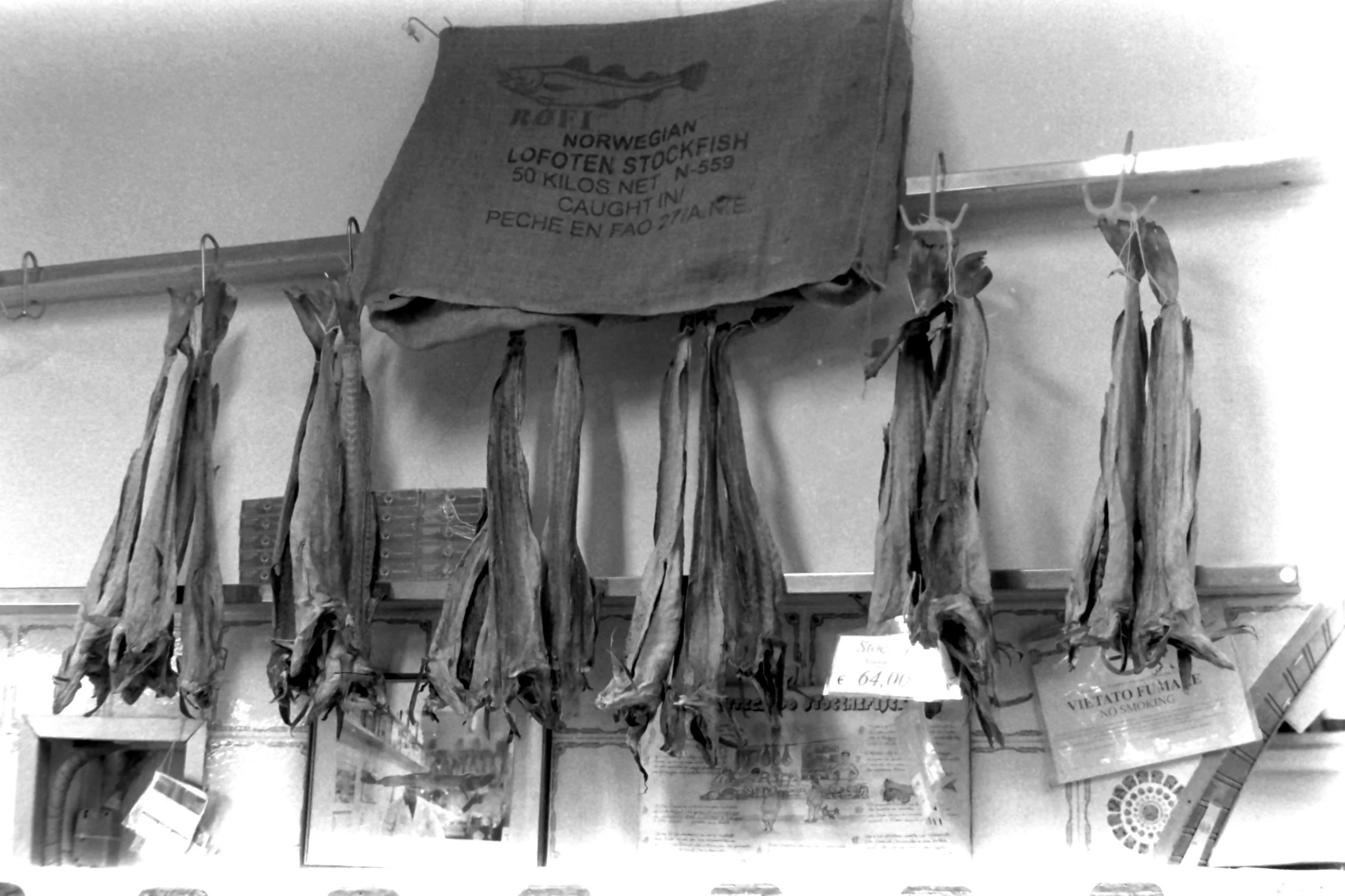 genova primo maggio quinte_7655.JPG