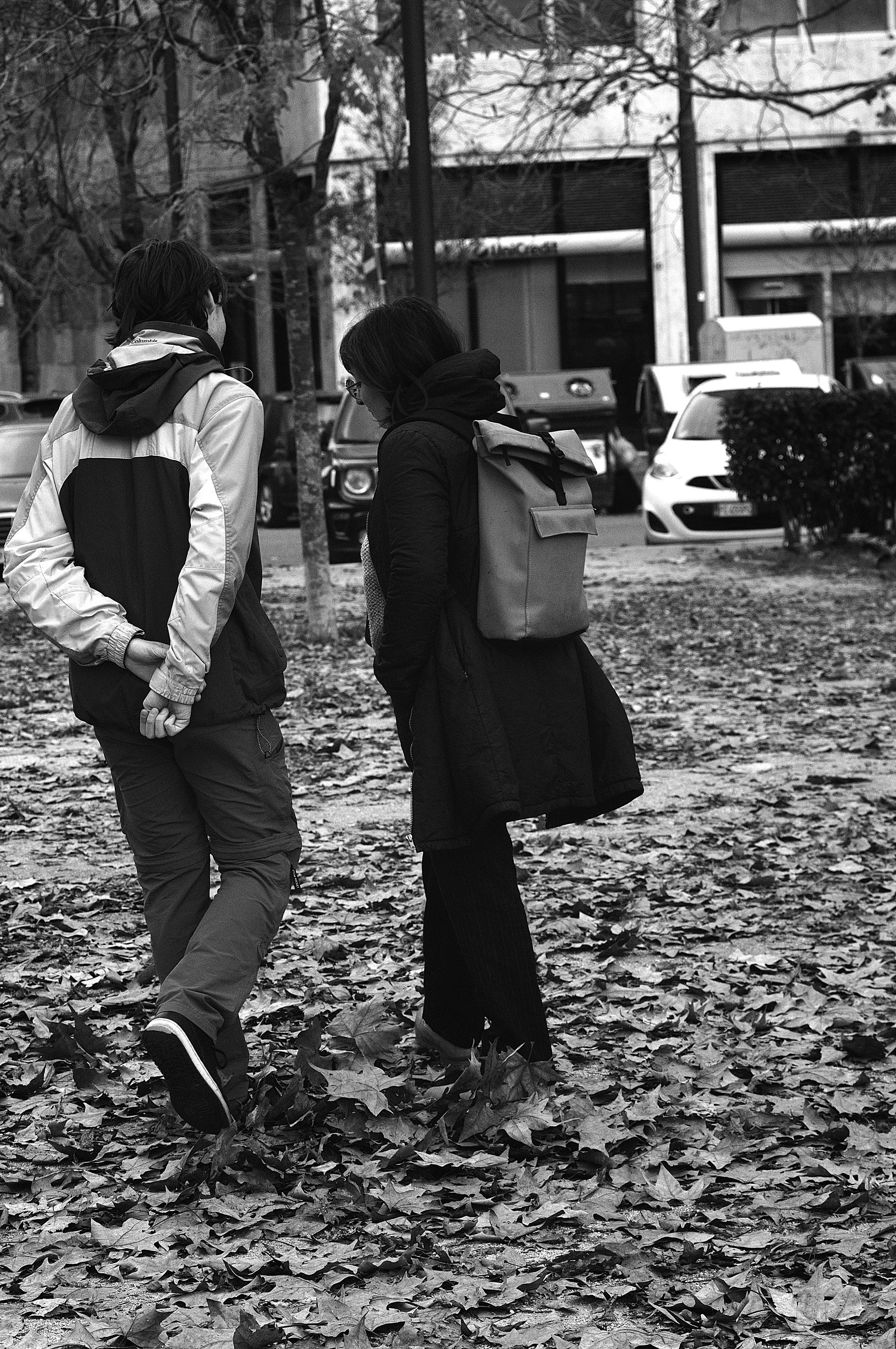 colla vinavyla foglie morte_1883.JPG