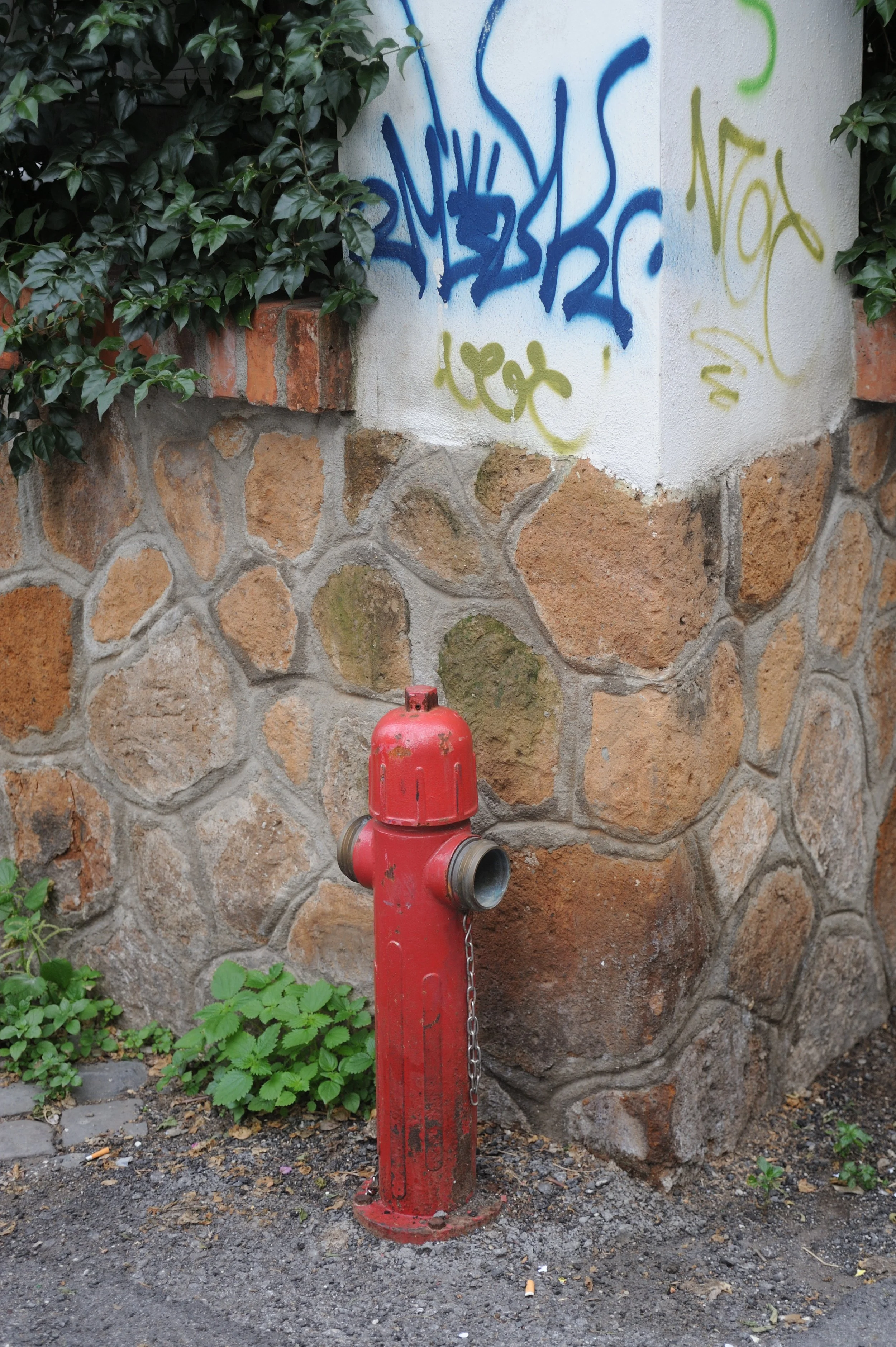 a cavallo a carnevale_4728.JPG