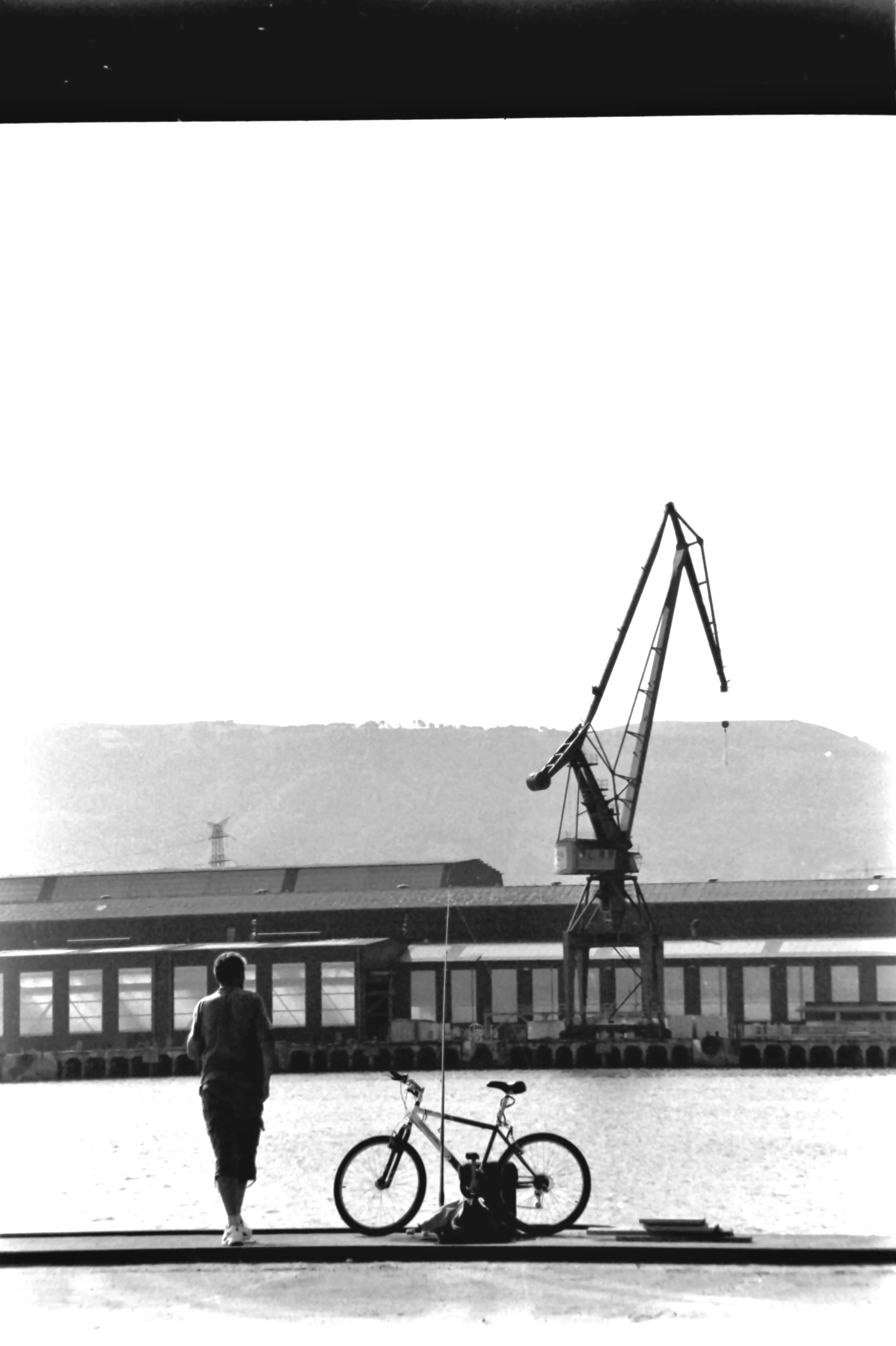 euskadi gru2_1686.JPG