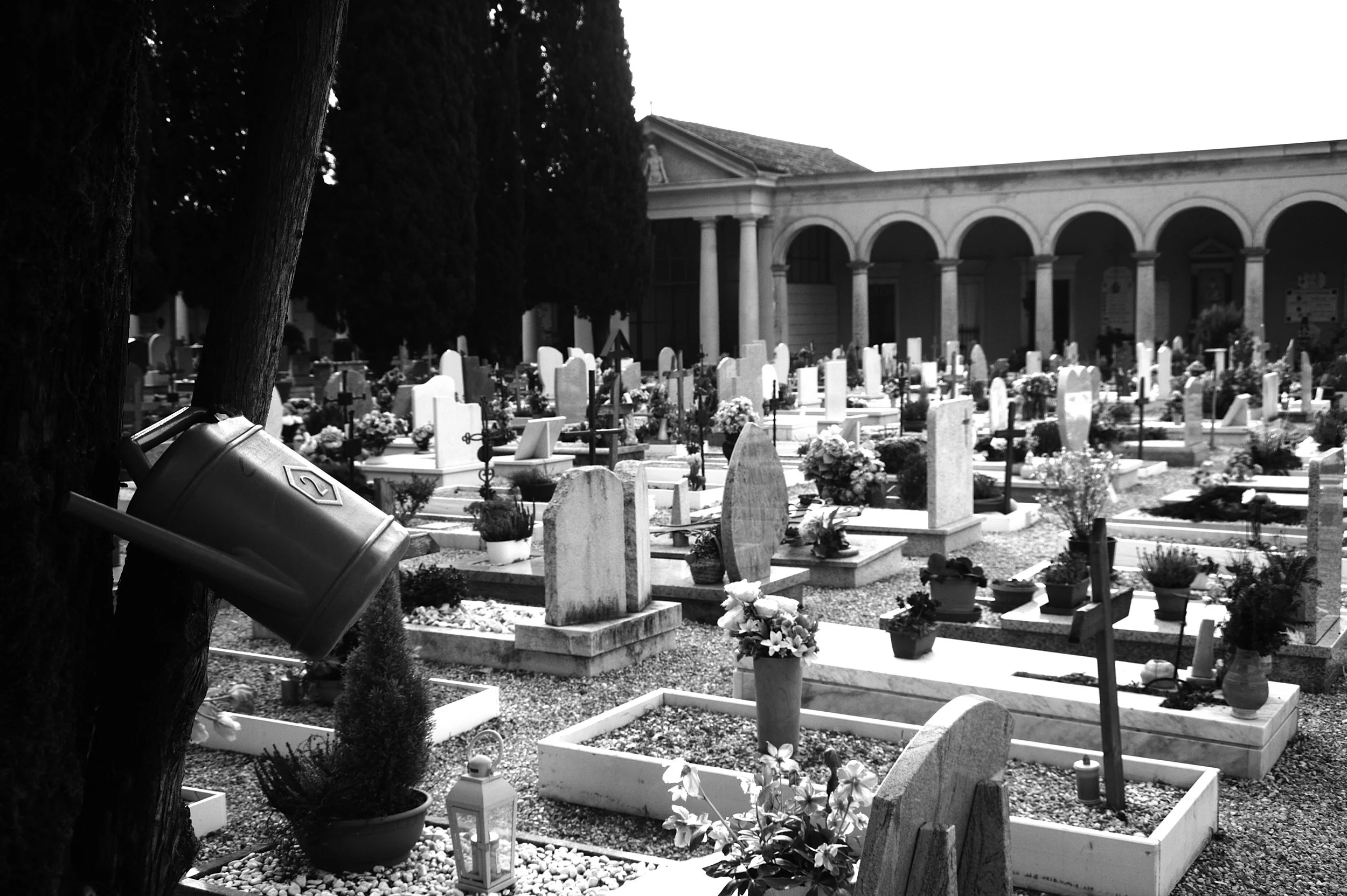 a cavallo a carnevale_4839.JPG