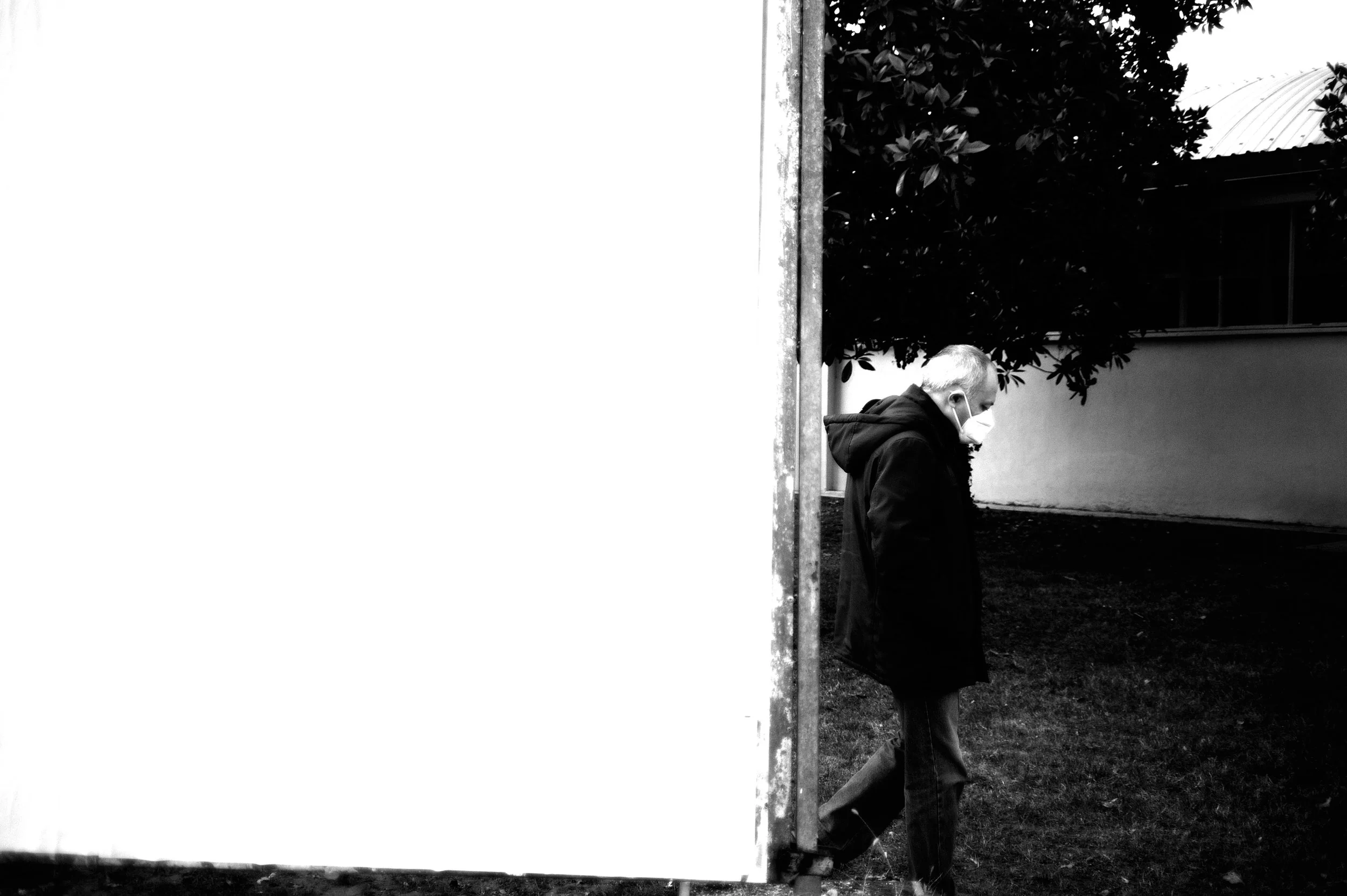 a cavallo a carnevale_4751.JPG