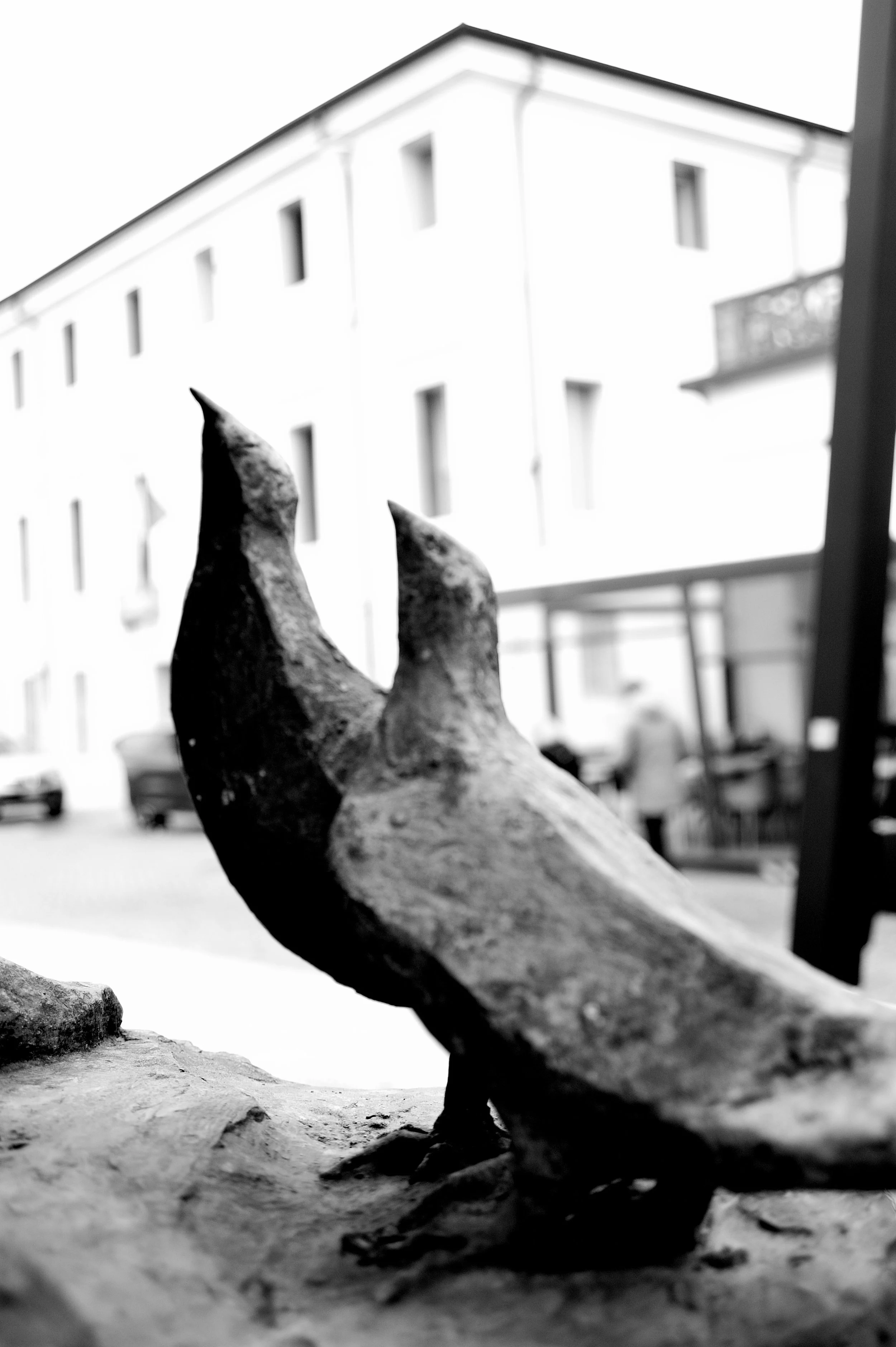 a cavallo a carnevale_5021.JPG
