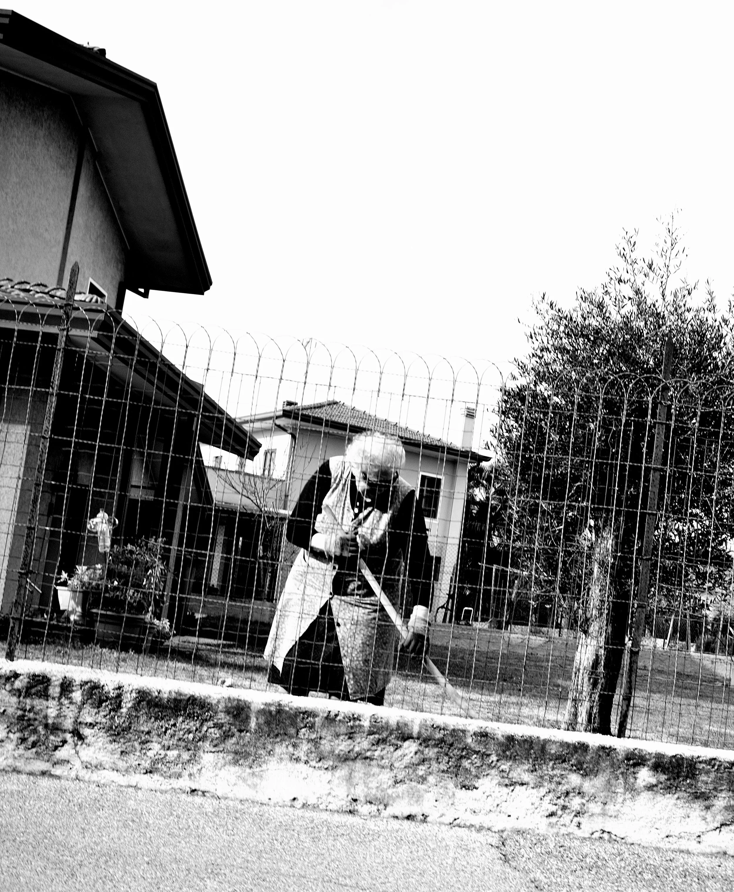 a cavallo a carnevale_4843.JPG