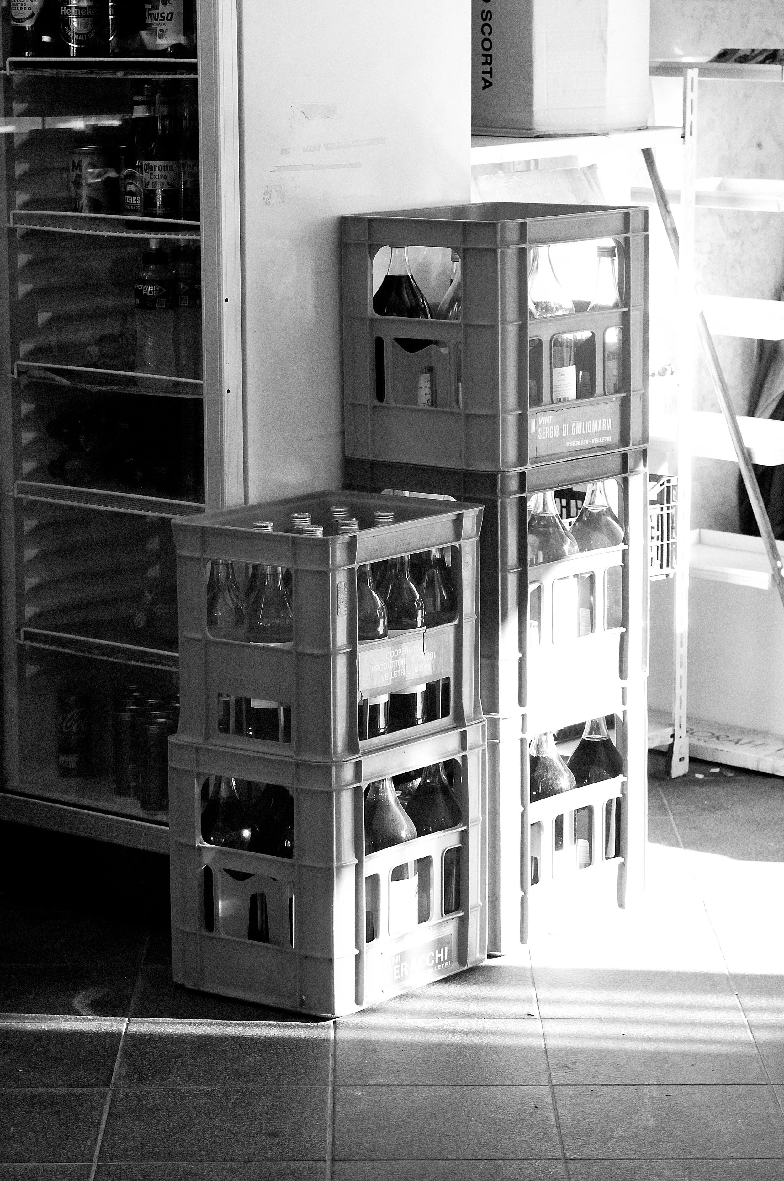 ple adriatico mercato_1301.JPG