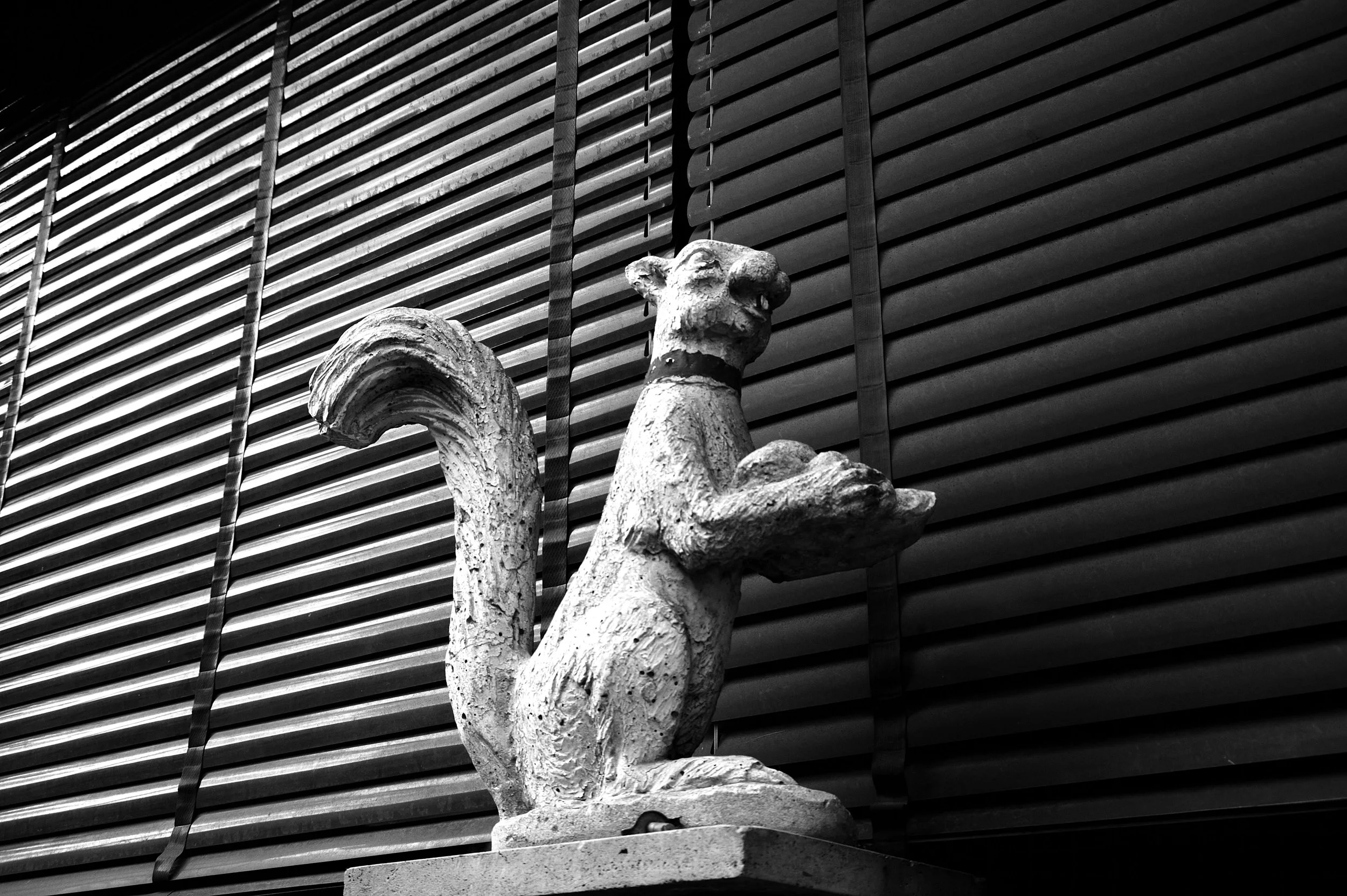 quartiere italia _3033.JPG