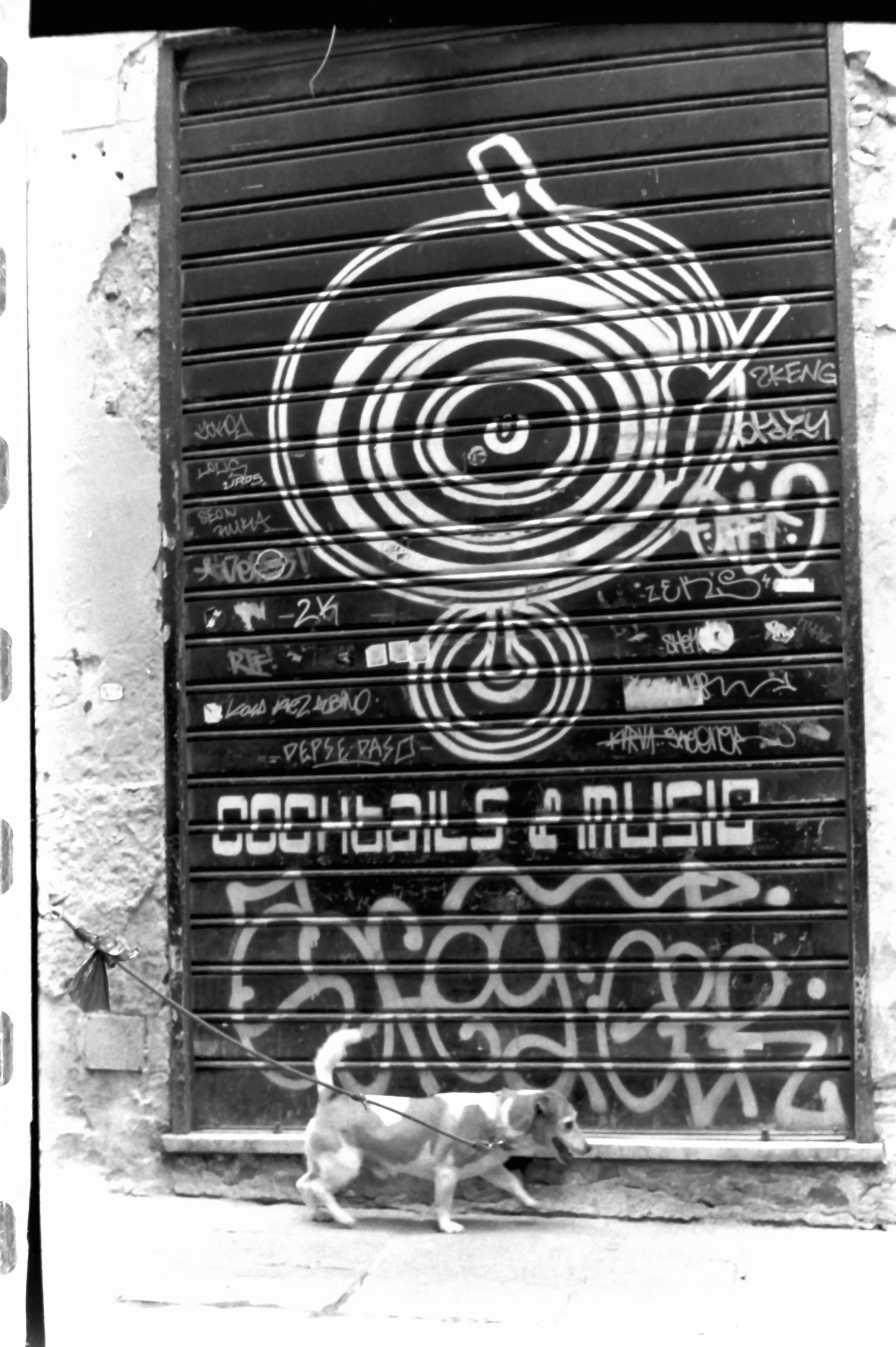 genova primo maggio quinte_7651.JPG