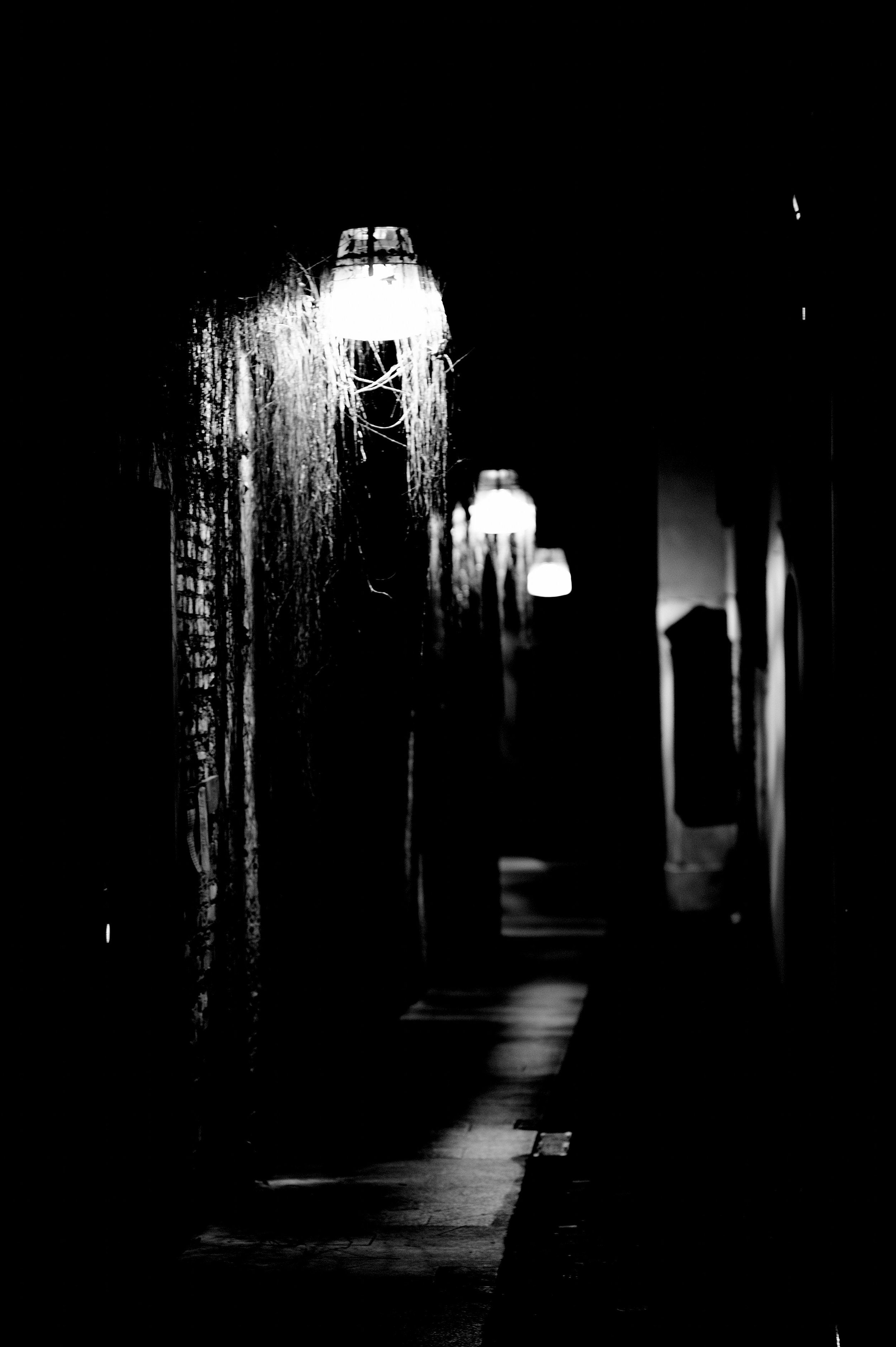 a cavallo a carnevale_4980.JPG