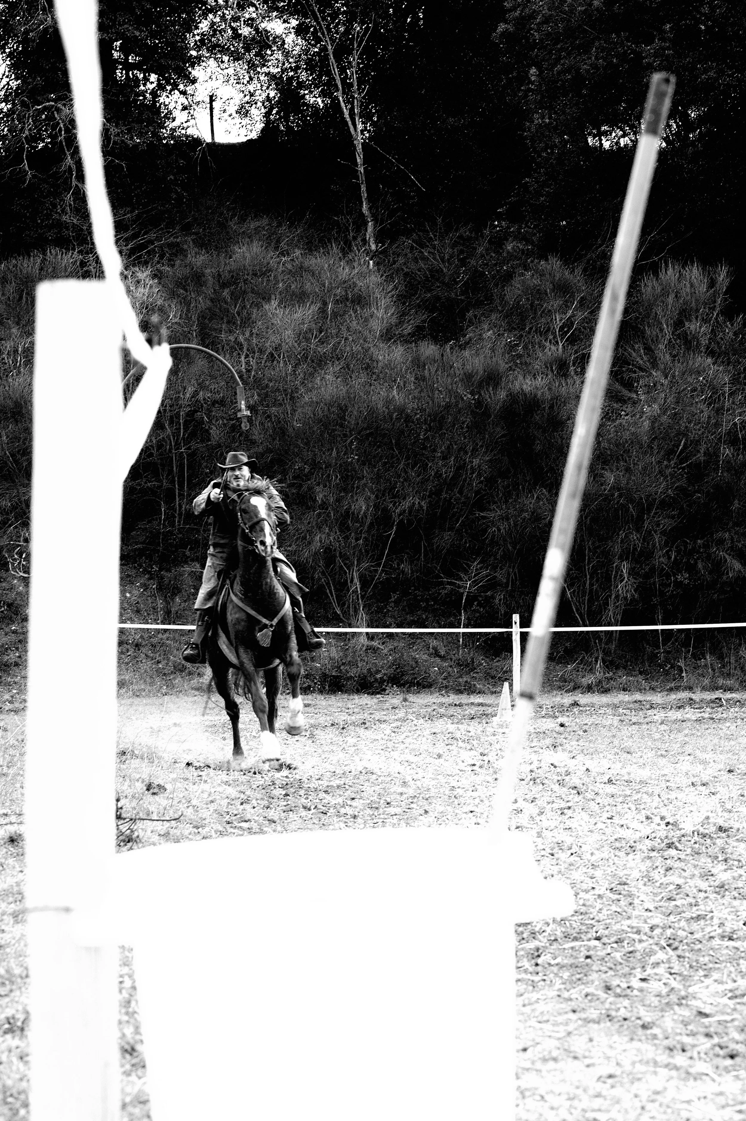 a cavallo a carnevale_4661.JPG