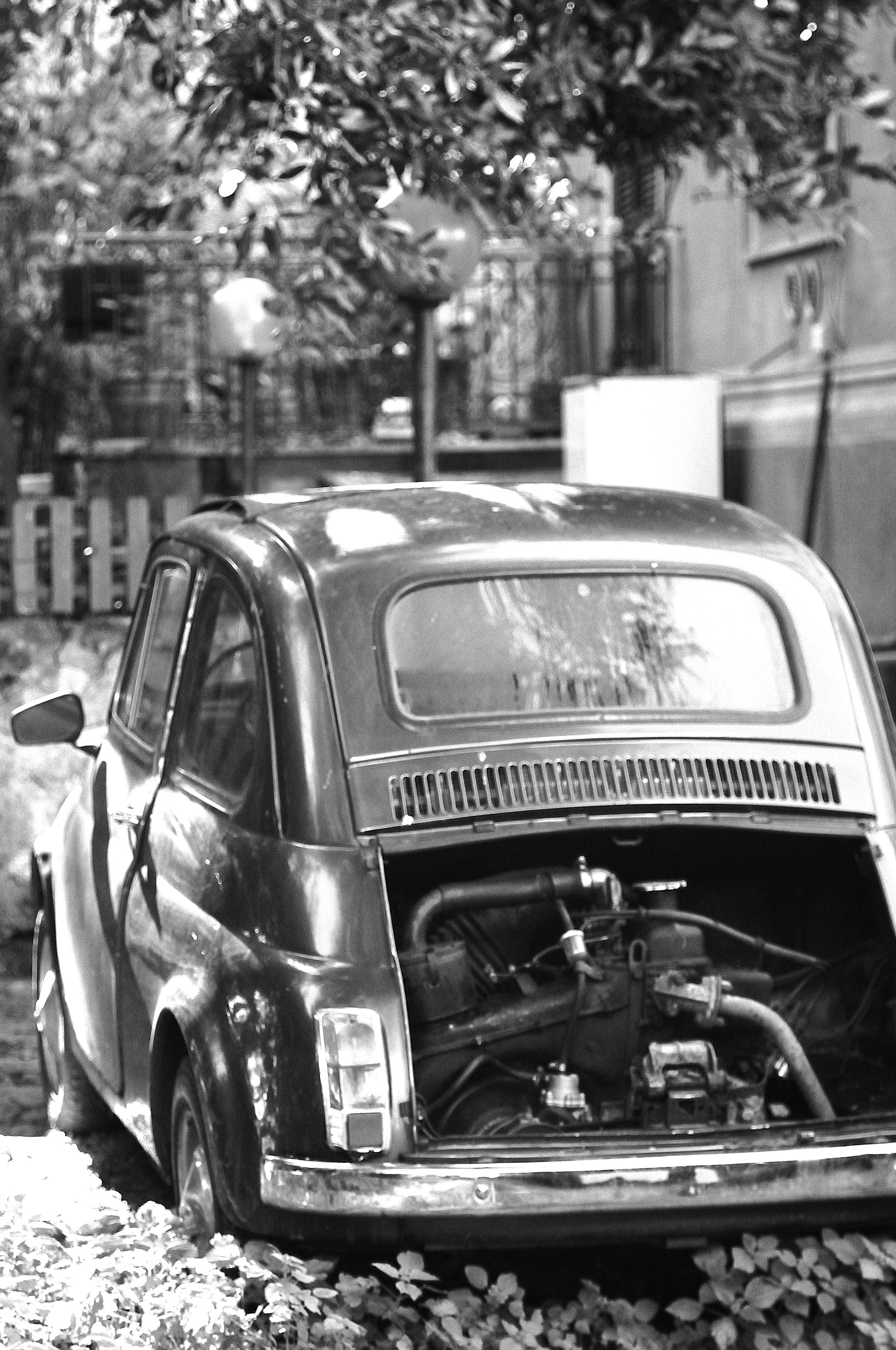 montesacro cinque piotte_1289.JPG