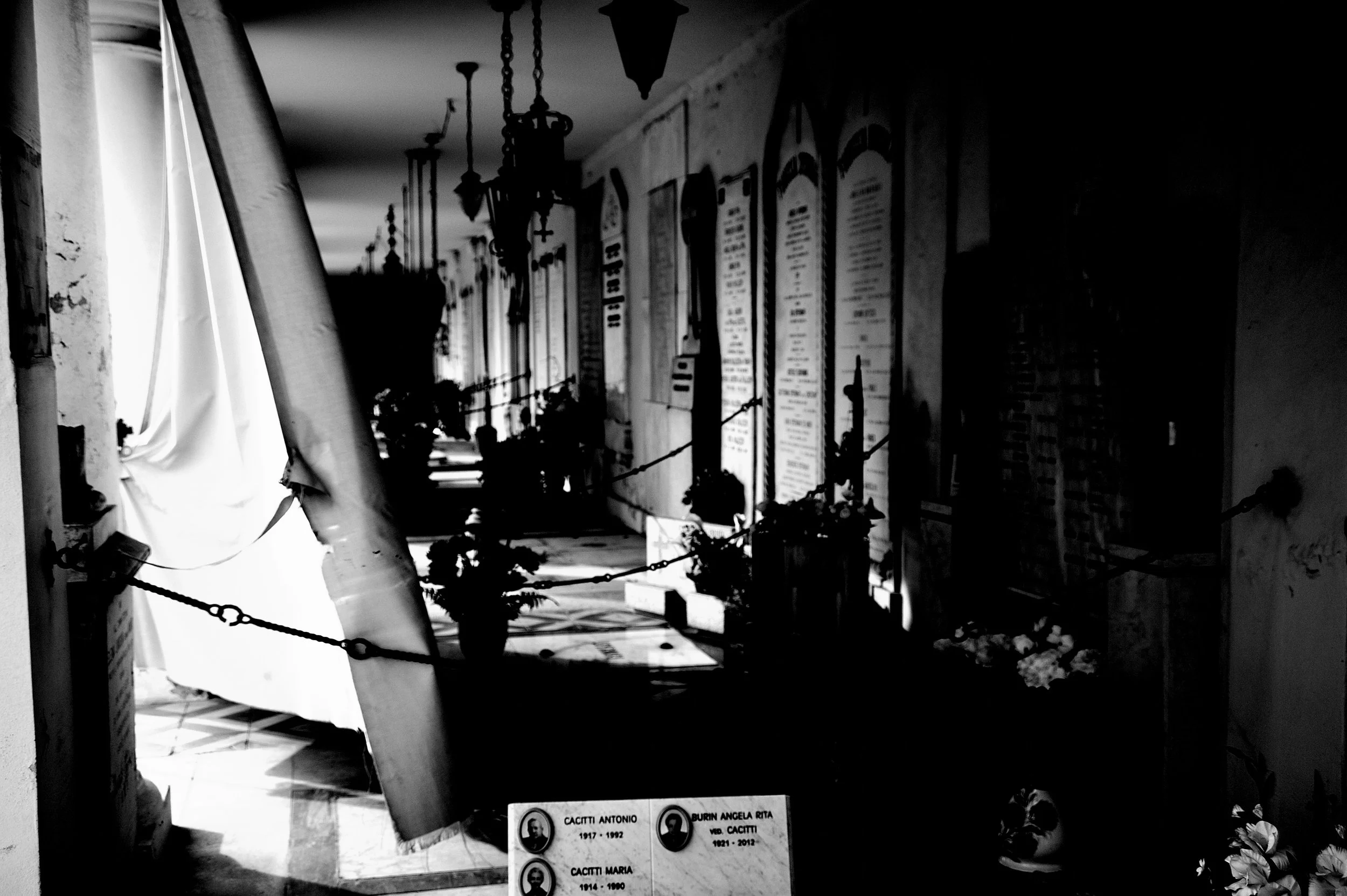 a cavallo a carnevale_4837.JPG