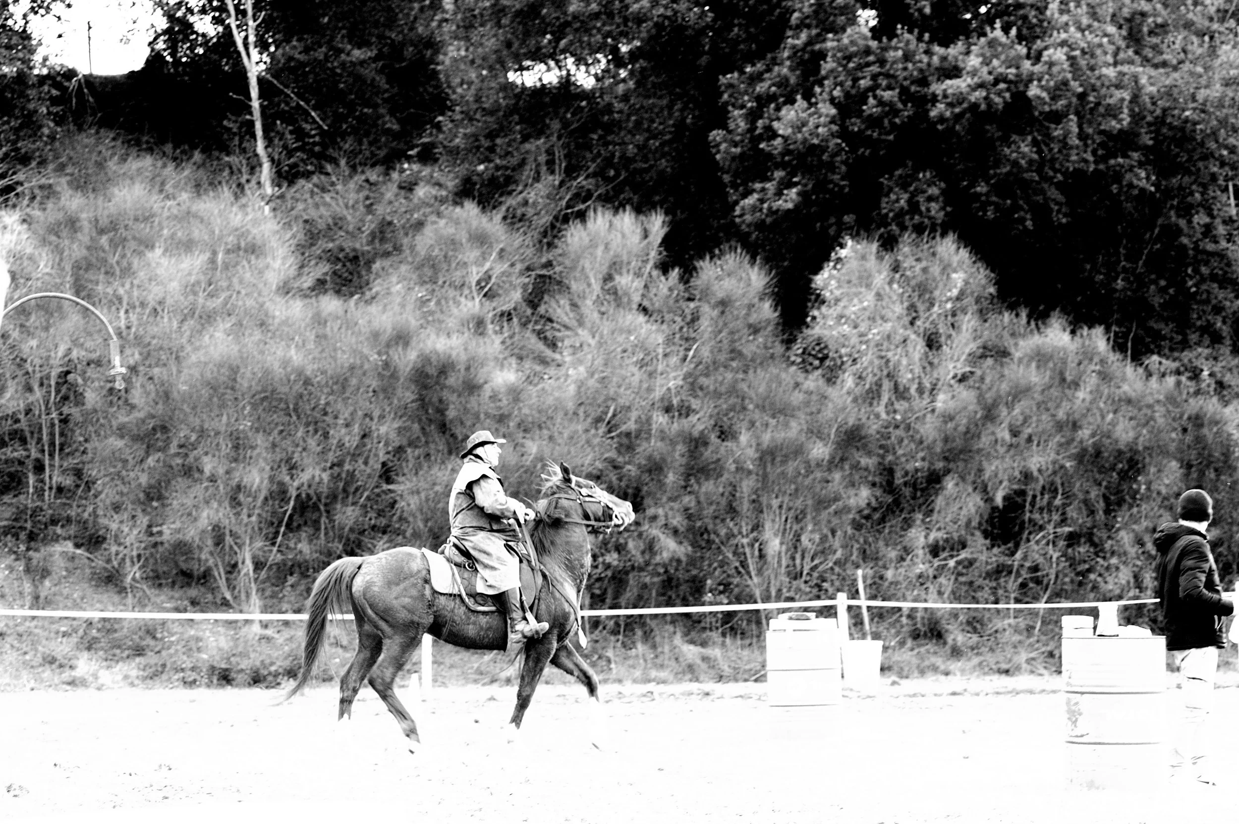 a cavallo a carnevale_4667.JPG