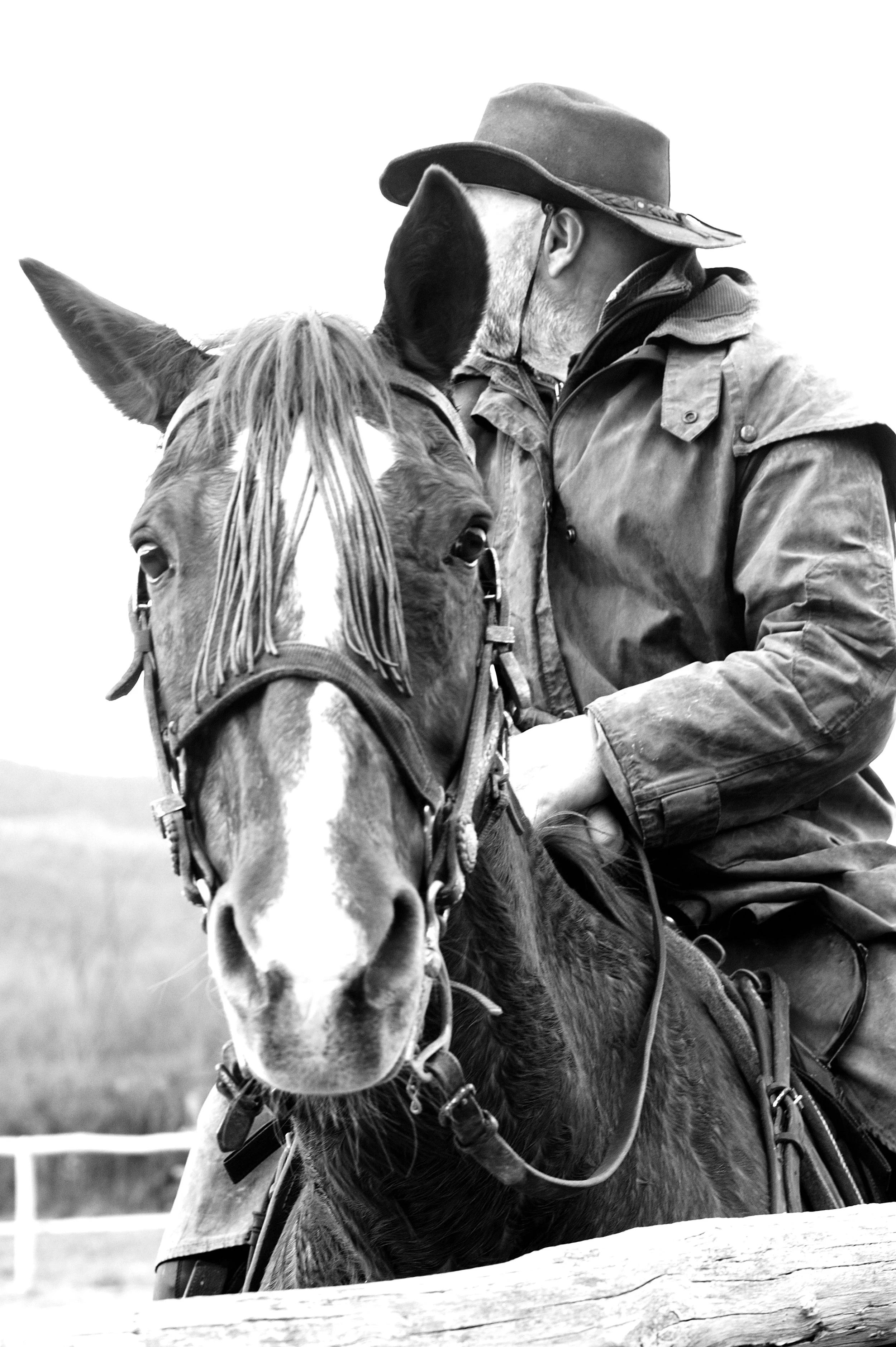 a cavallo a carnevale_4675.JPG