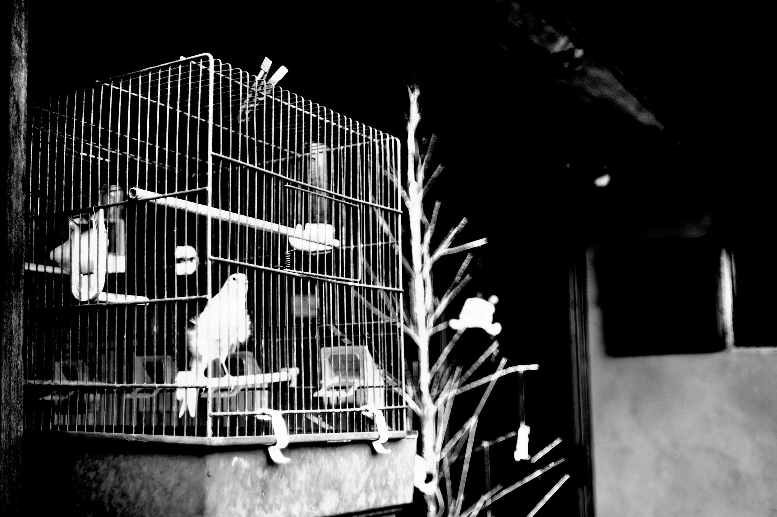 quartiere italia _3075.JPG