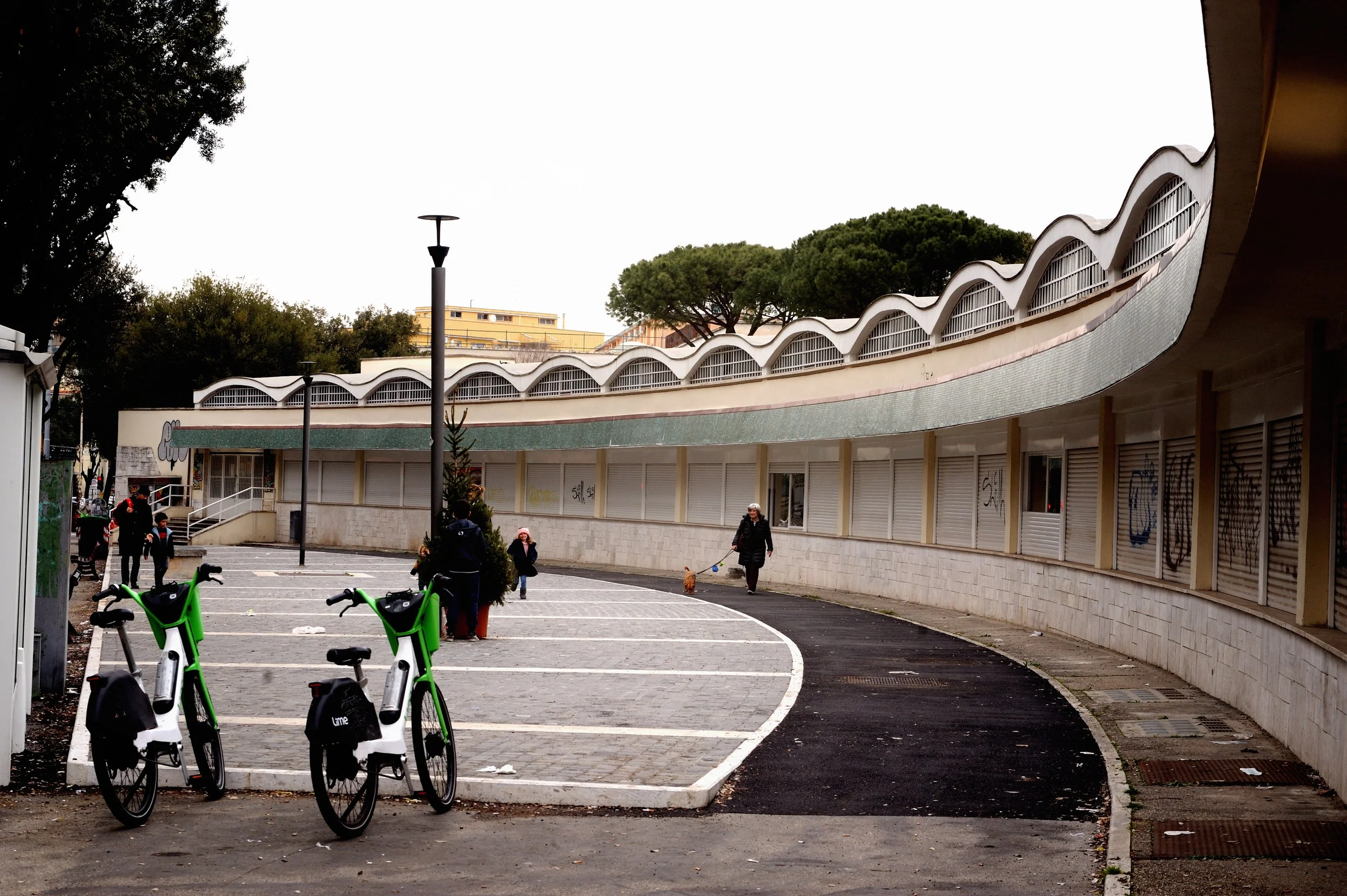 a cavallo a carnevale_4712.JPG