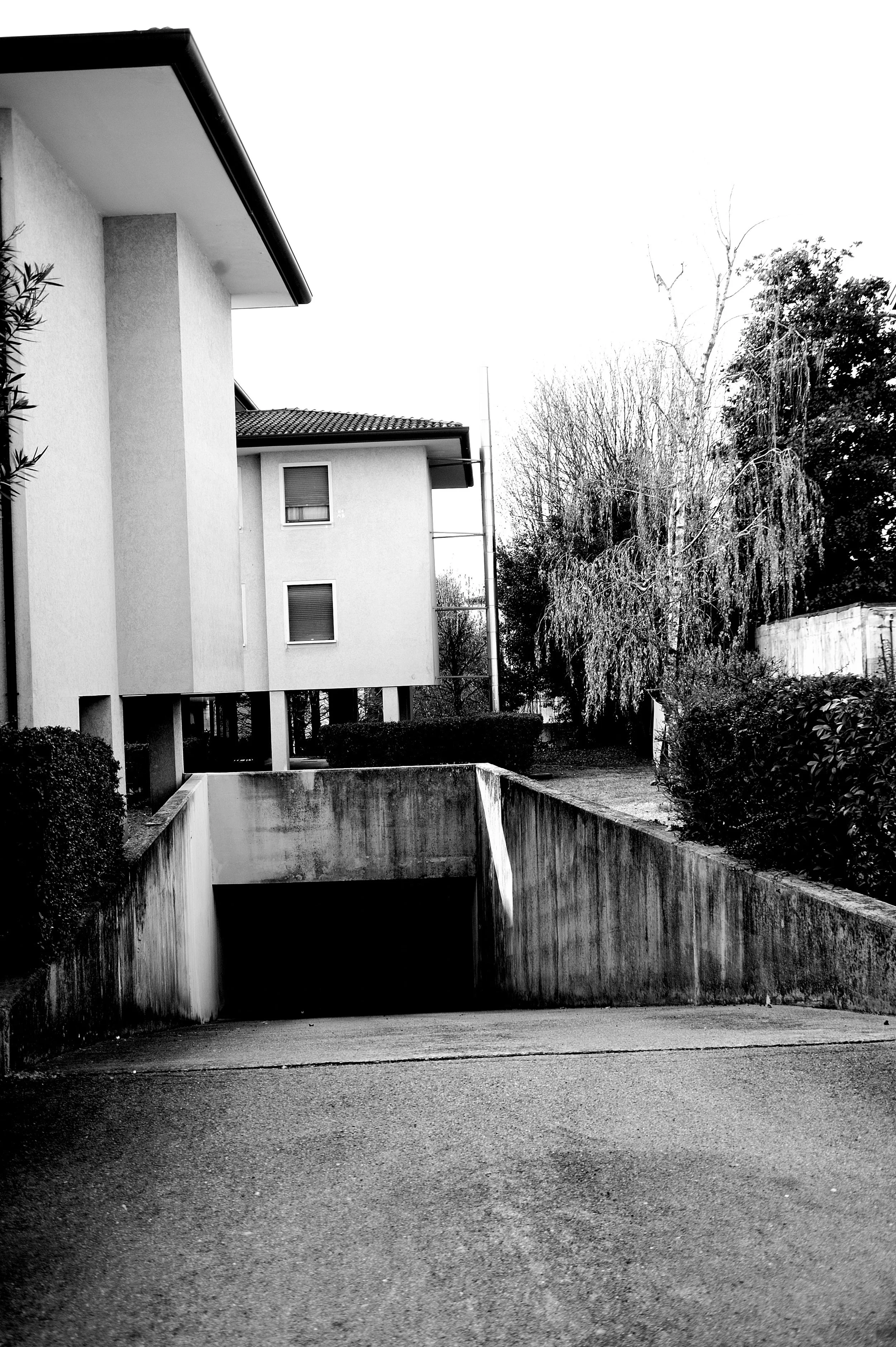 a cavallo a carnevale_4957.JPG