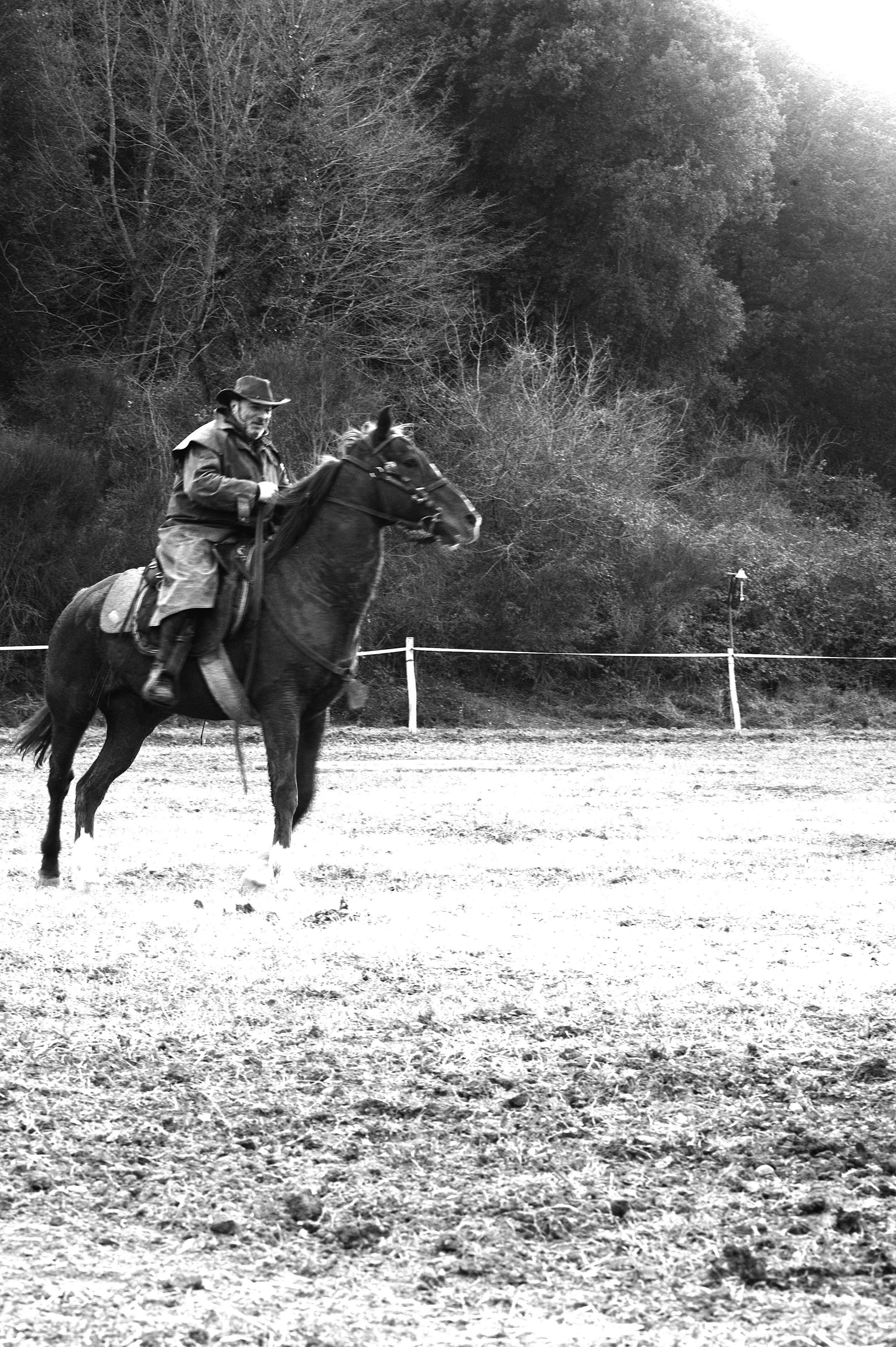 a cavallo a carnevale_4664.JPG