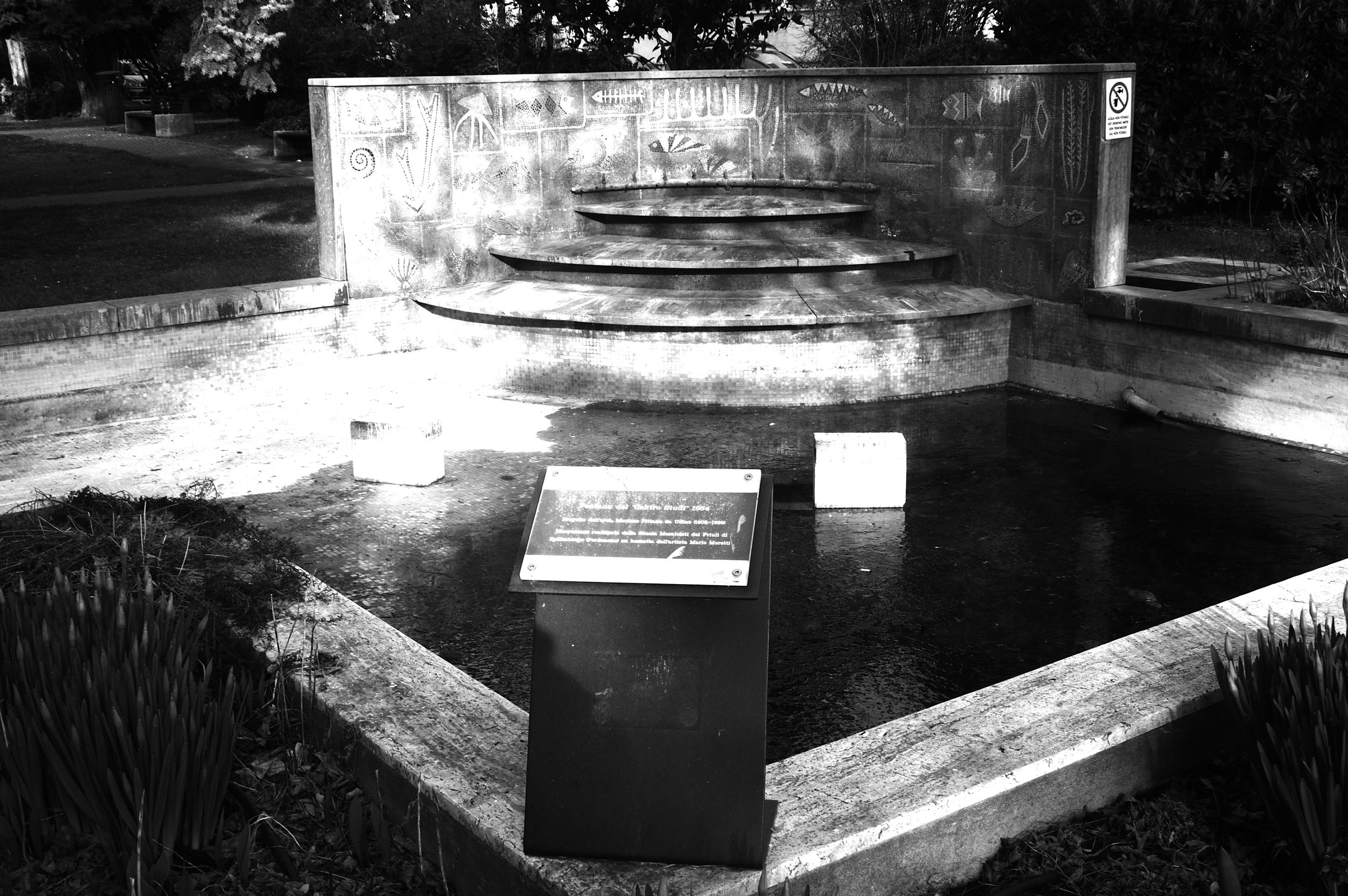 a cavallo a carnevale_4762.JPG