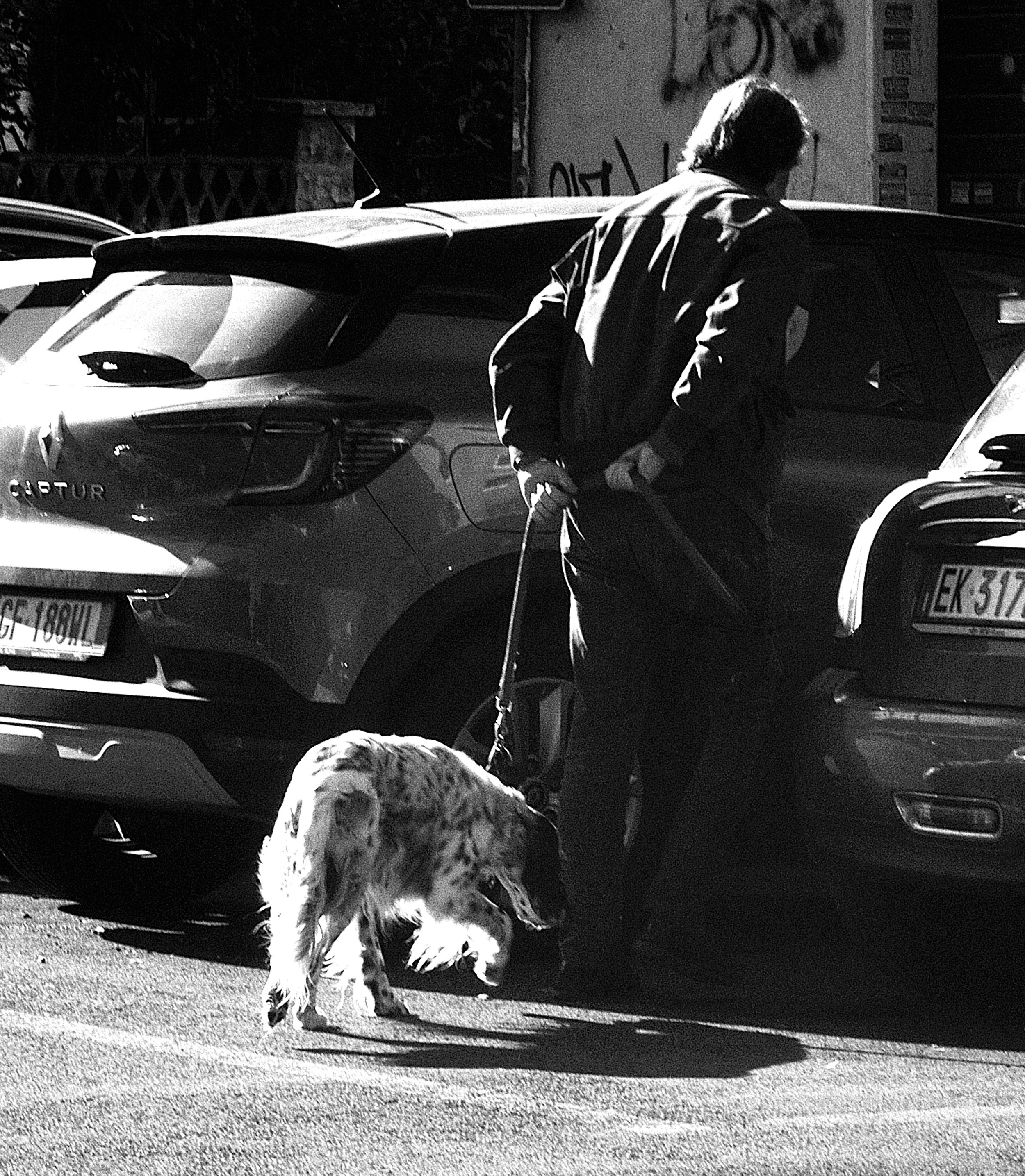 via brennero cane e padrone_1299.JPG