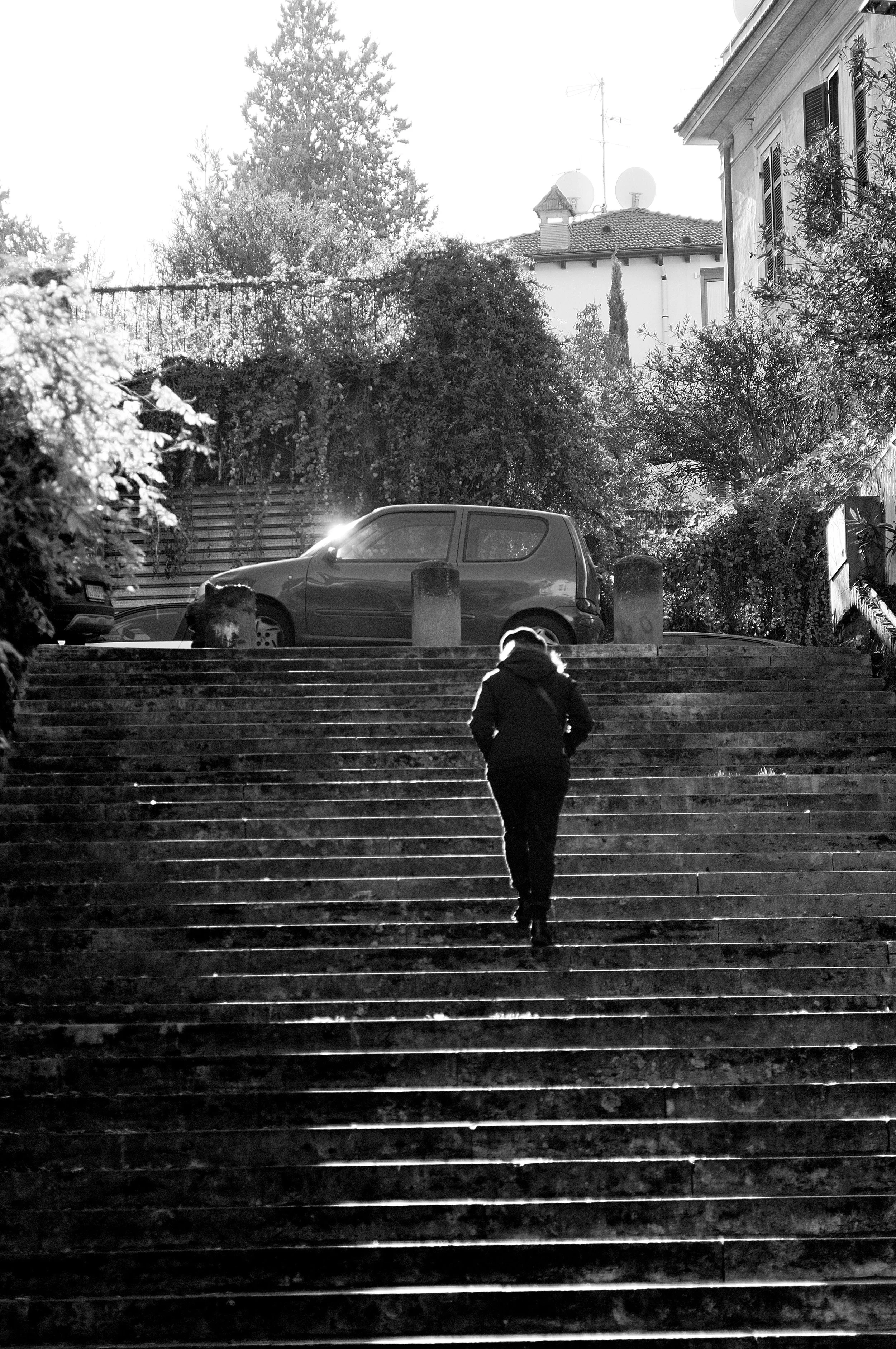 montesacro donna scale3_1285.JPG