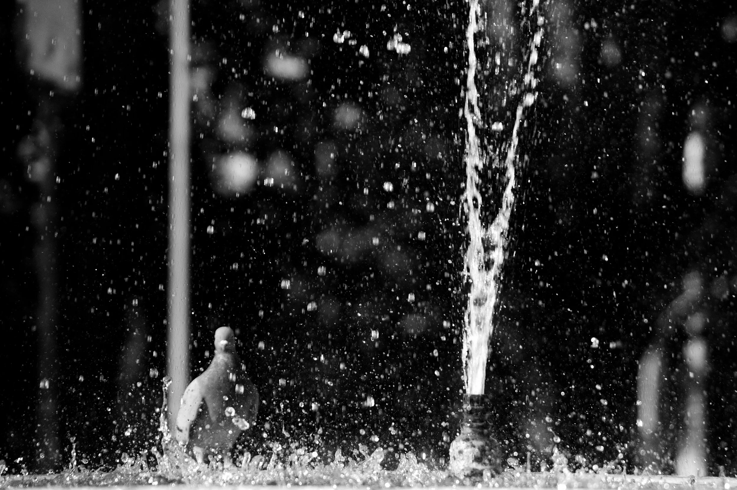 montesacro, case e gente_6112.JPG