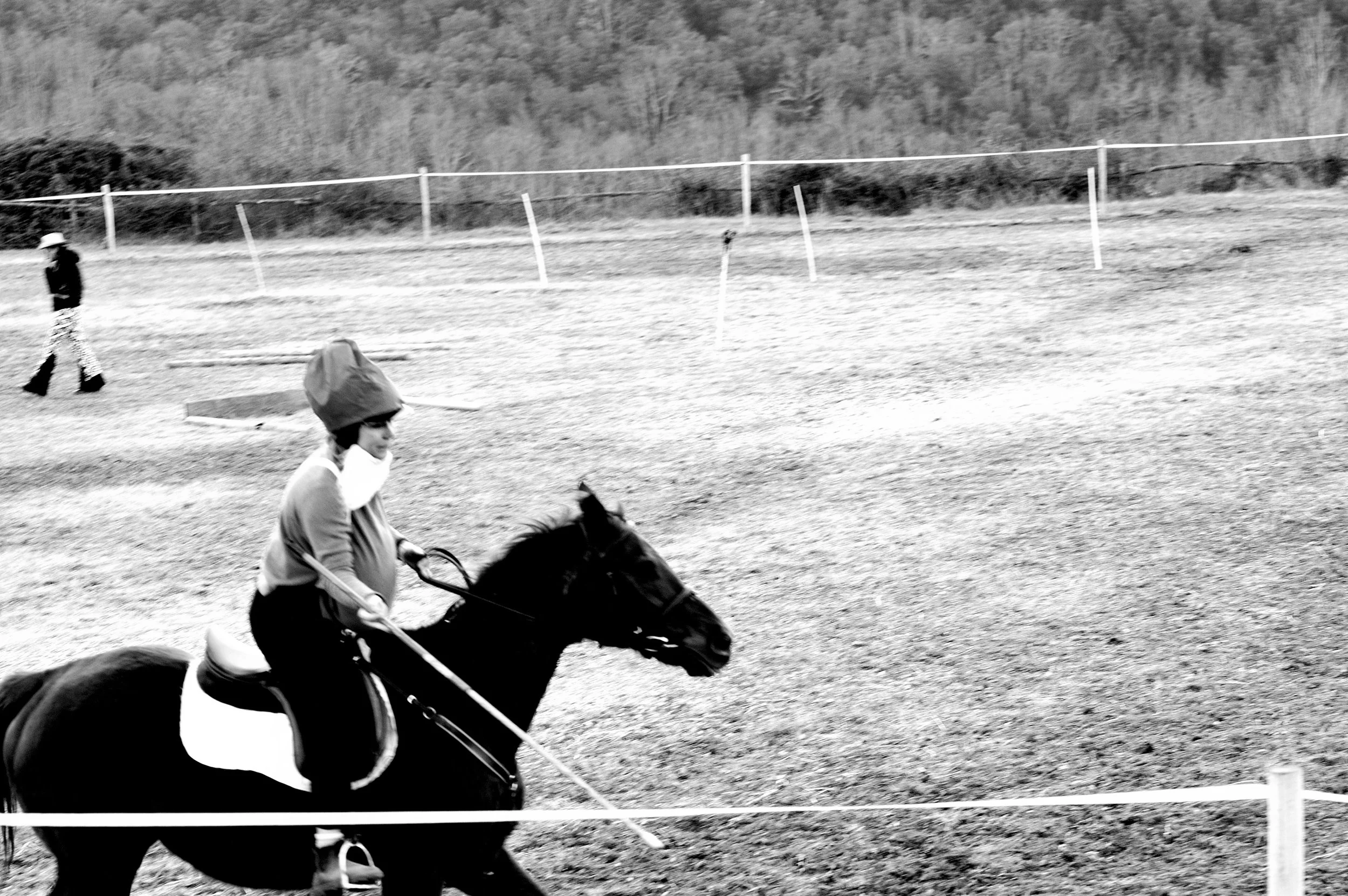 a cavallo a carnevale_4689.JPG