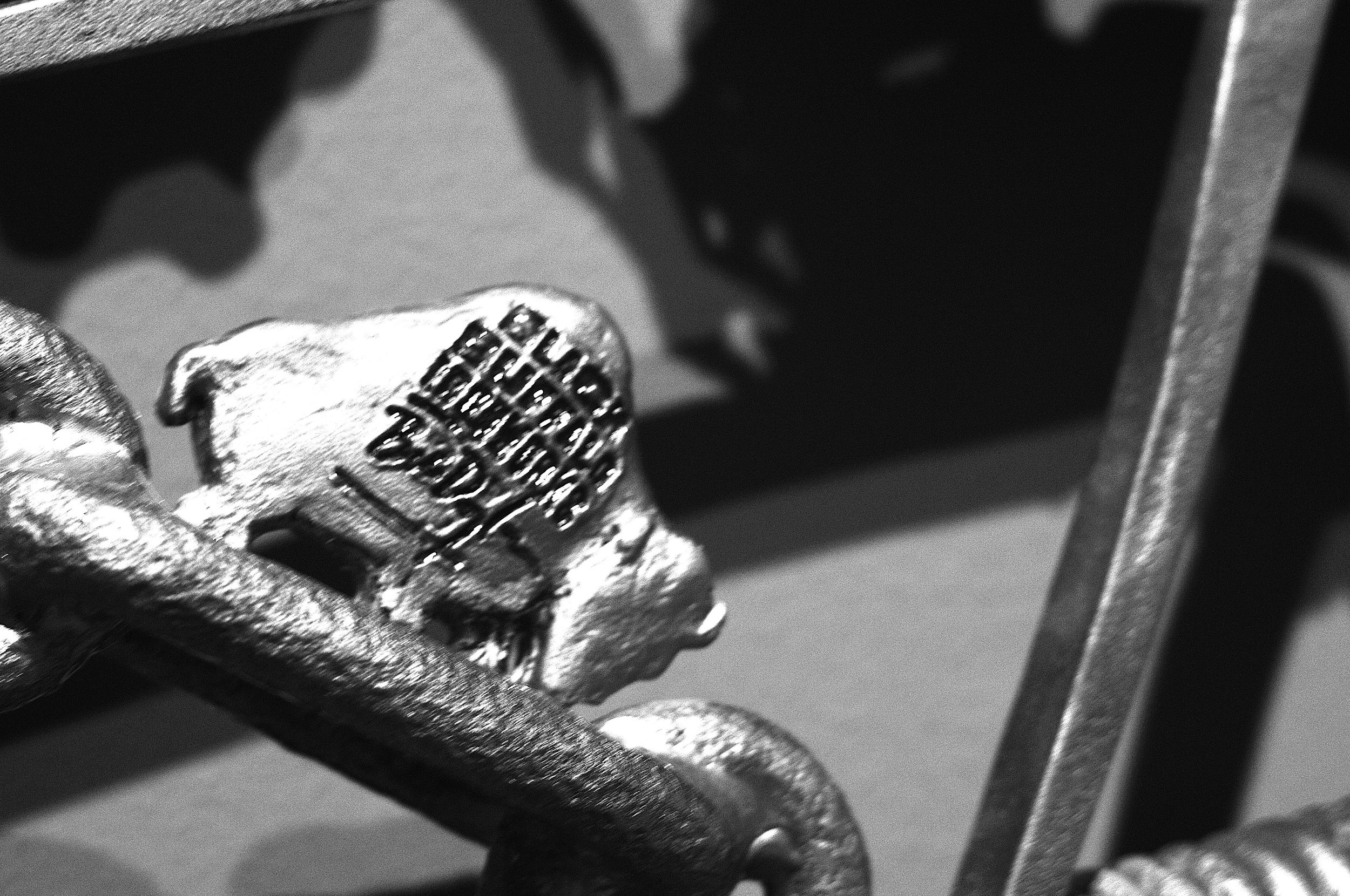 bisonte metallo_1807.JPG