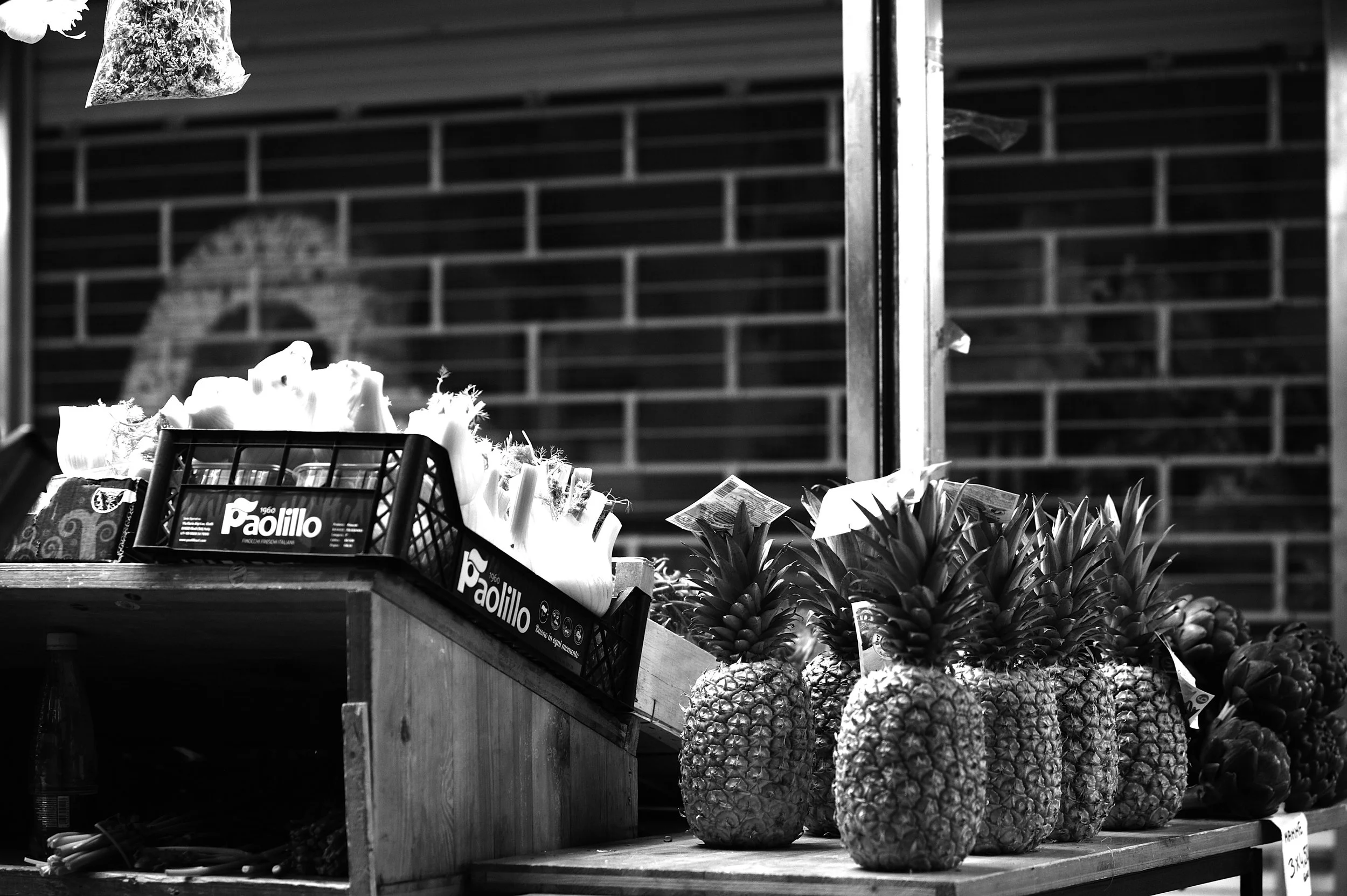 bologna a febbraio_4110.JPG