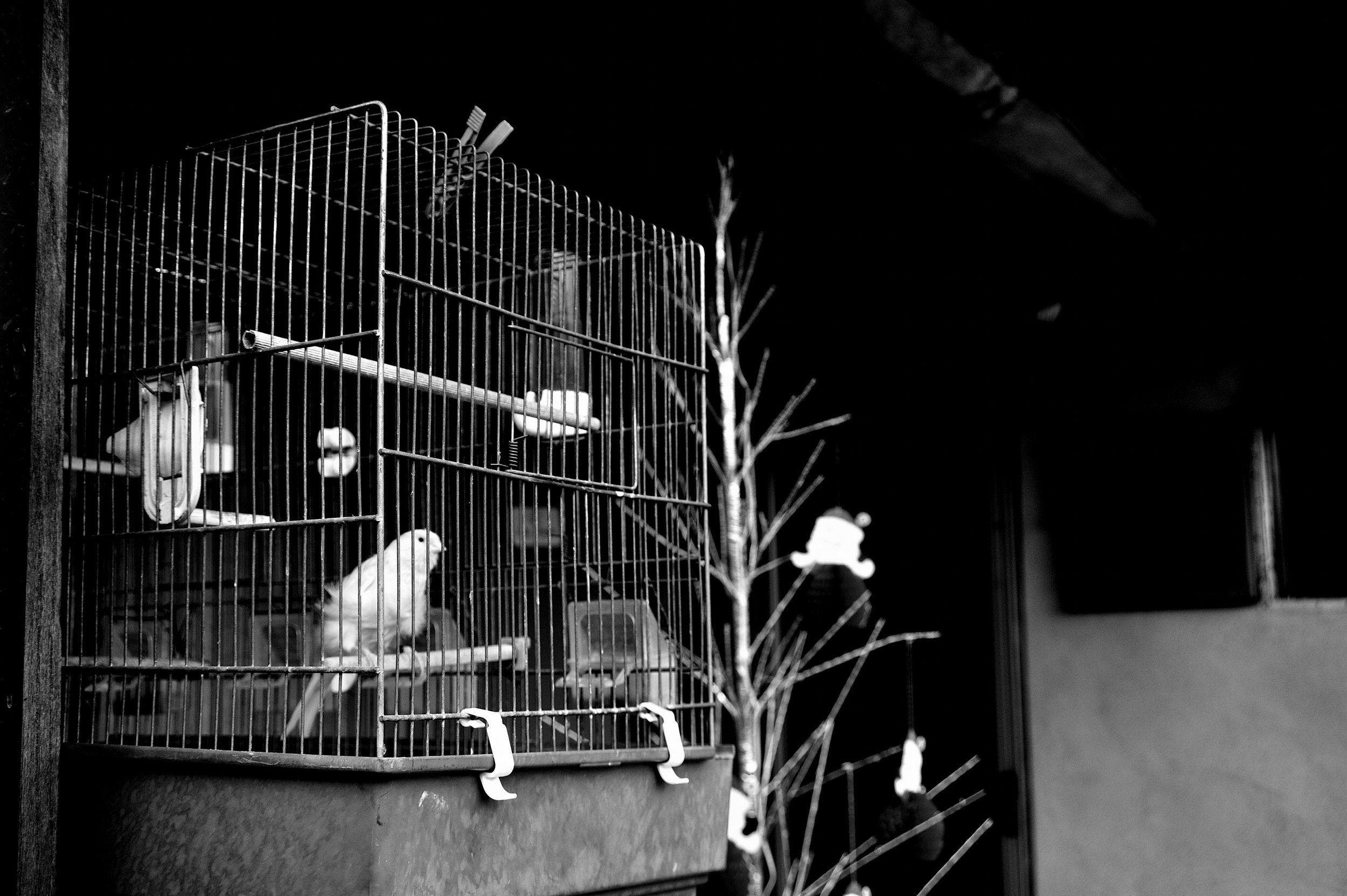 quartiere italia _3073.JPG