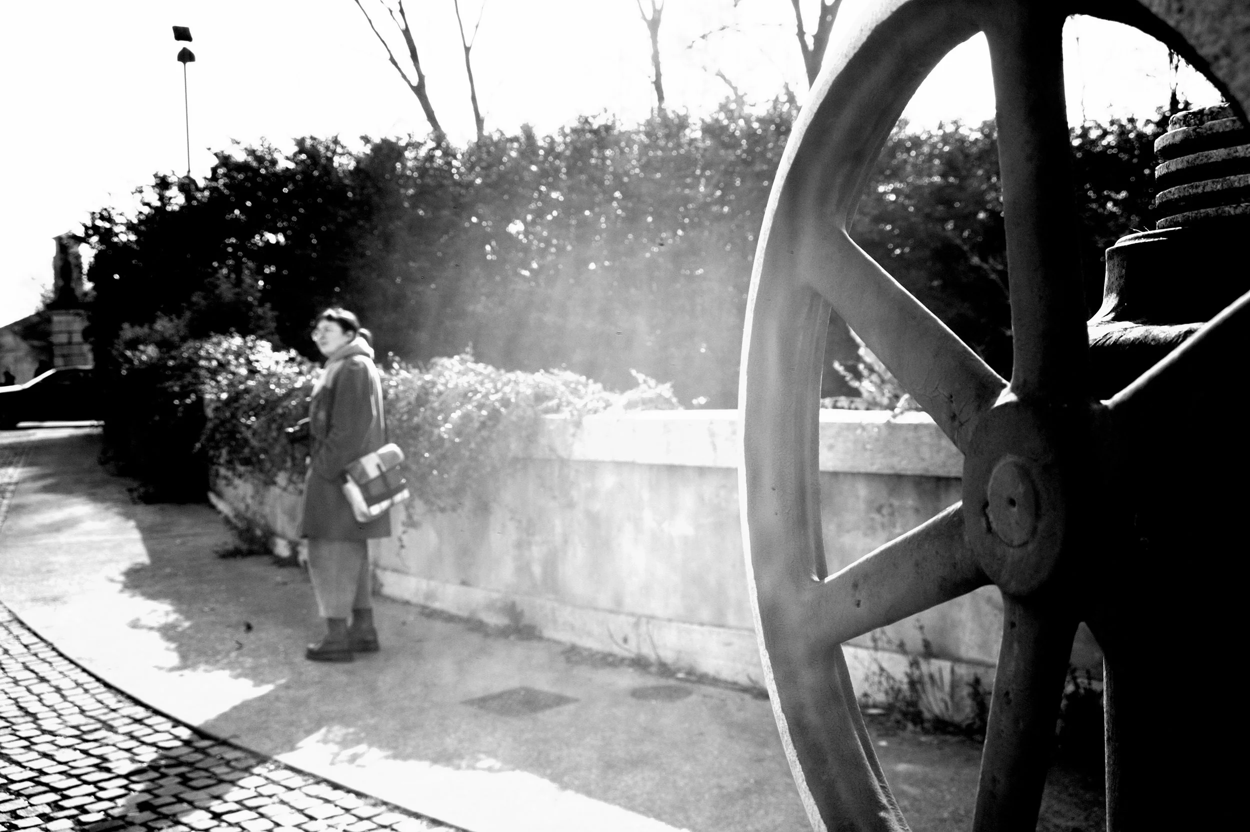 a cavallo a carnevale_4815.JPG