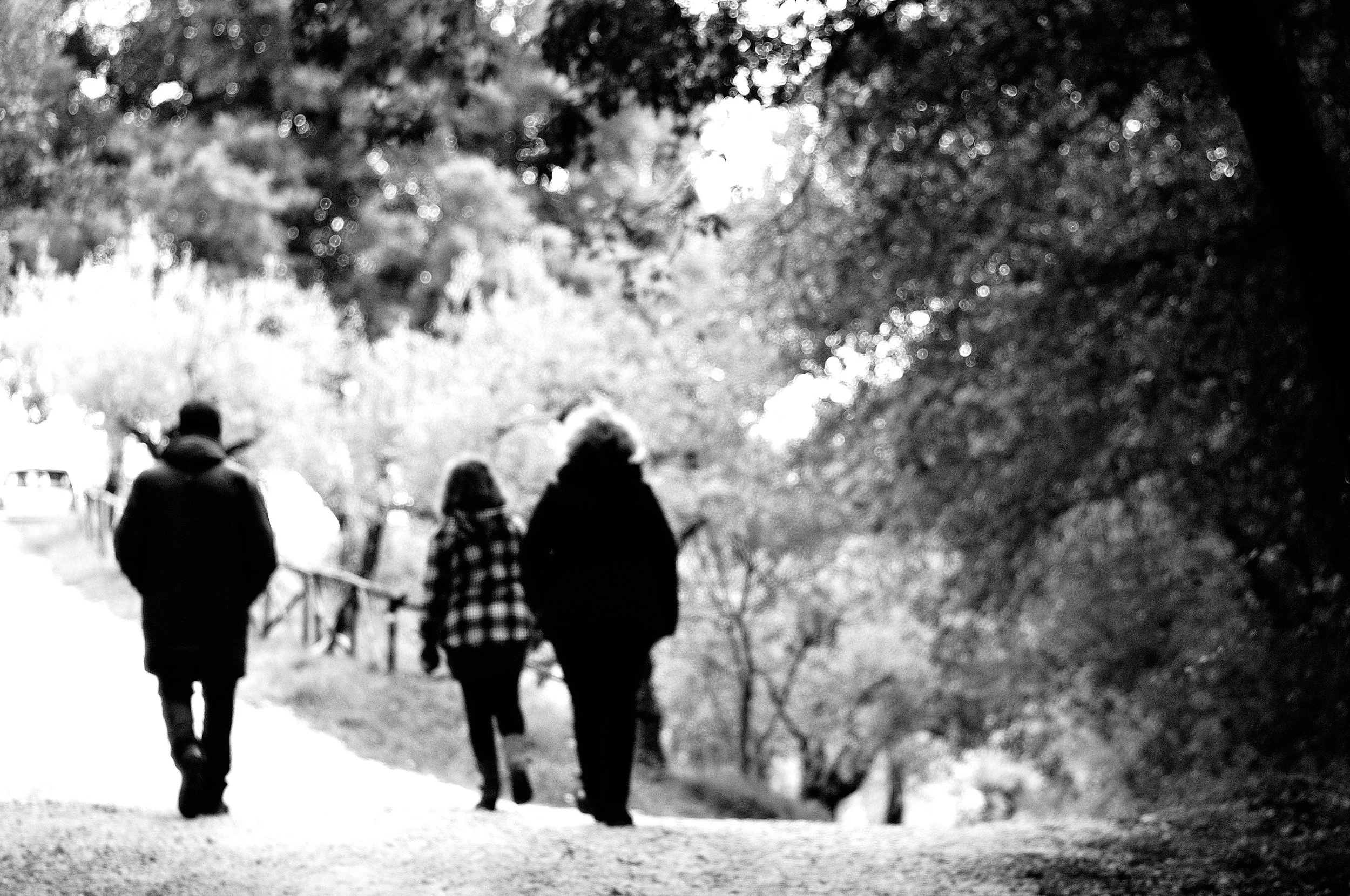 ghenga torna2_943.JPG