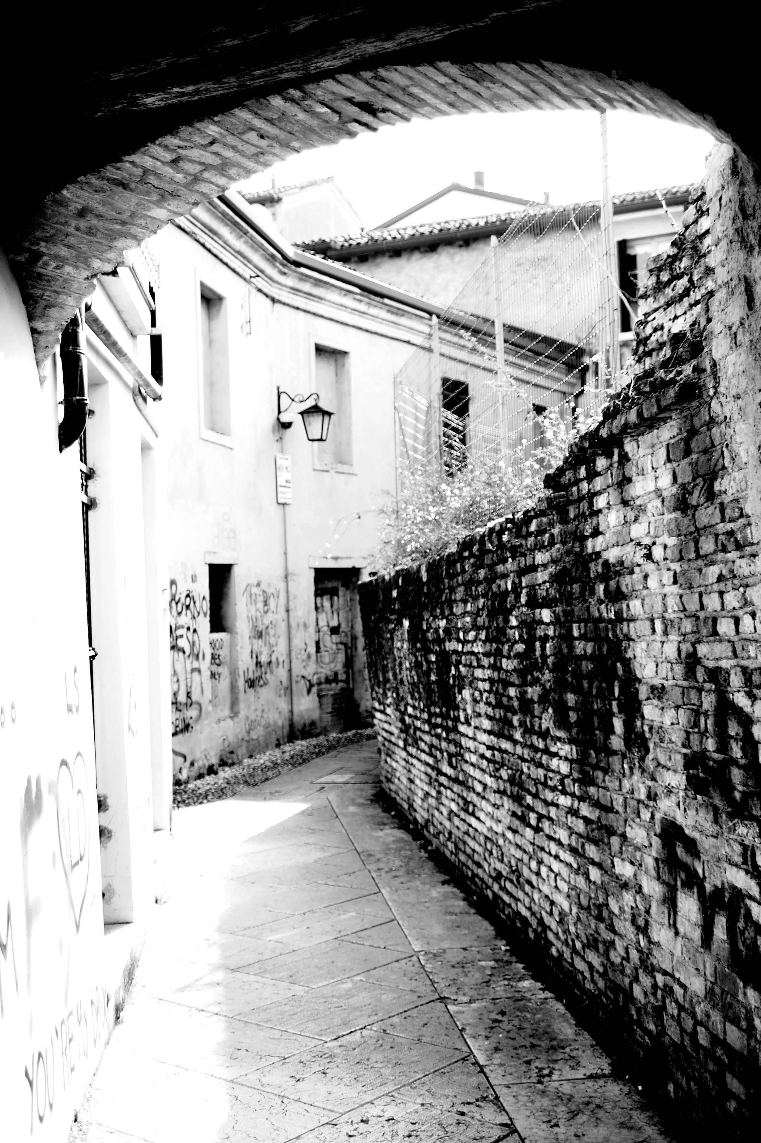 a cavallo a carnevale_4800.JPG