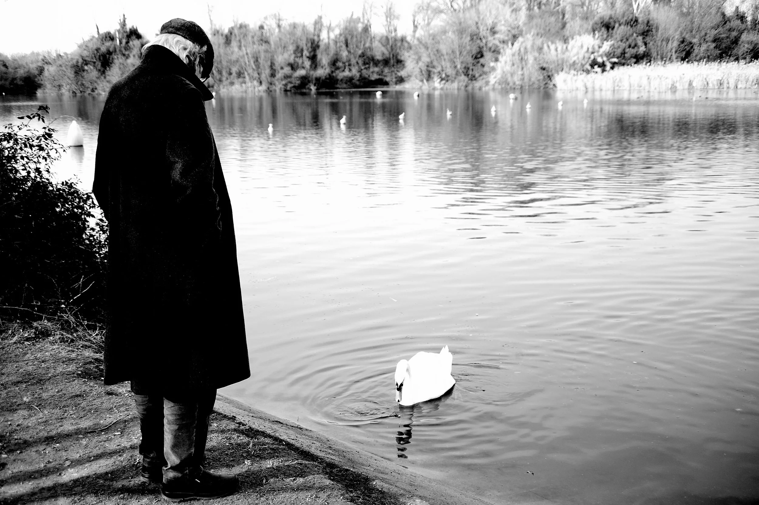 a cavallo a carnevale_4945.JPG