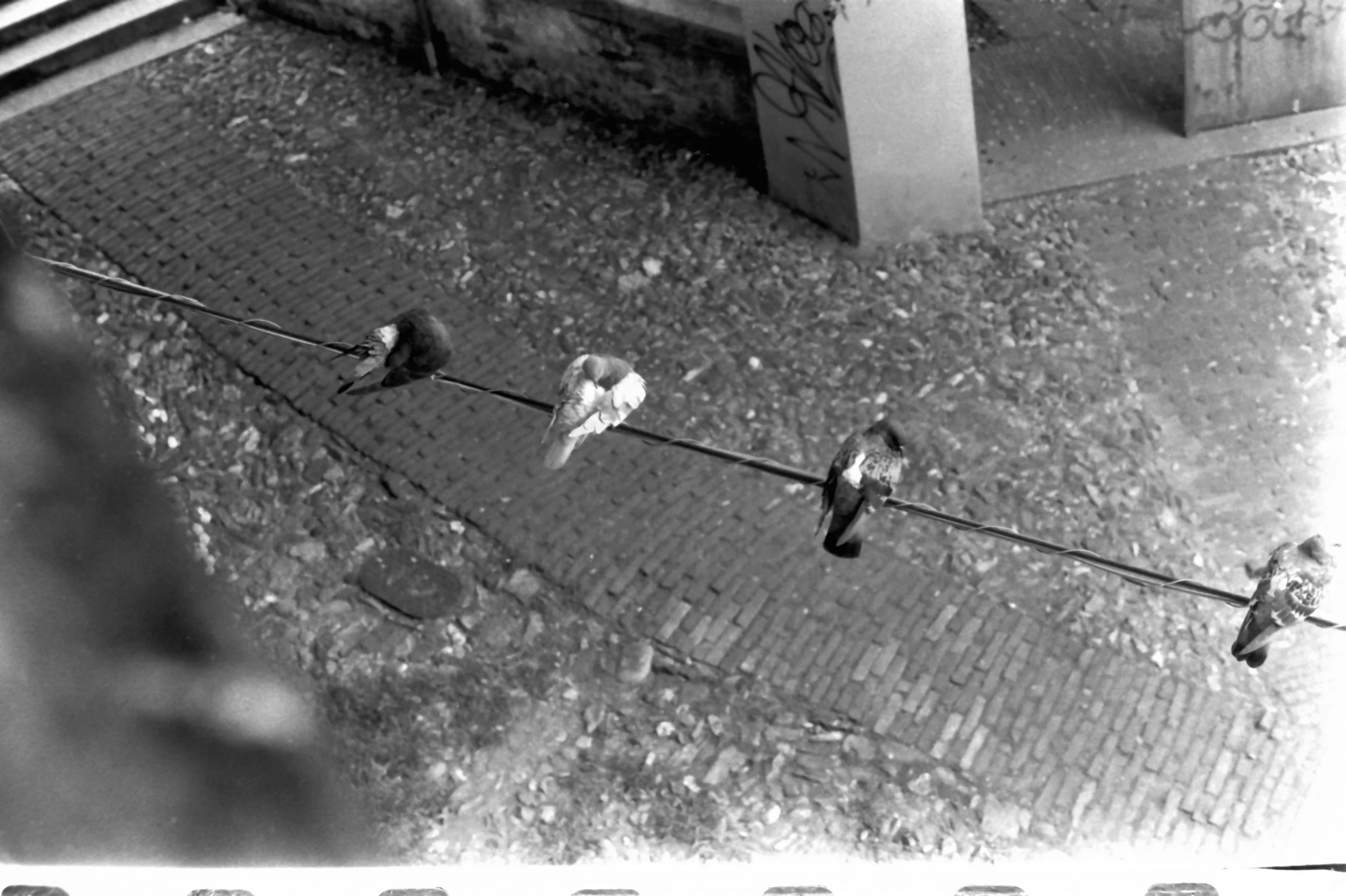 genova 1 maggio and around_7422.JPG