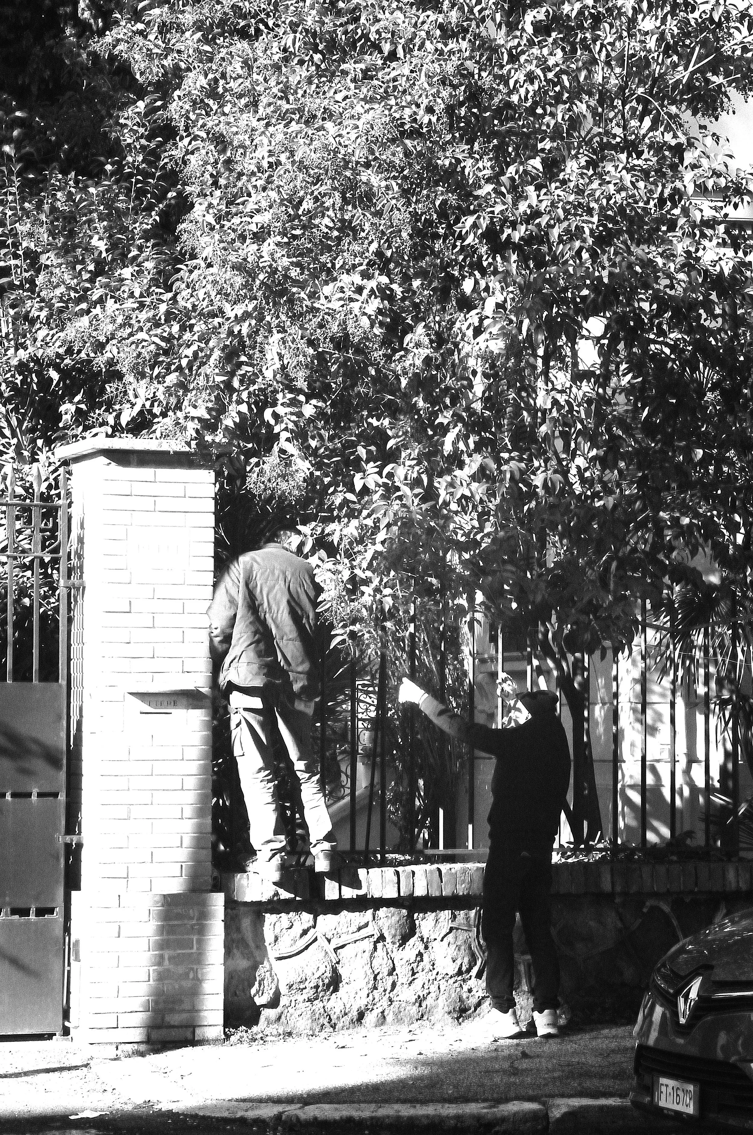 montesacro arrampicati sul muretto3_1293.JPG