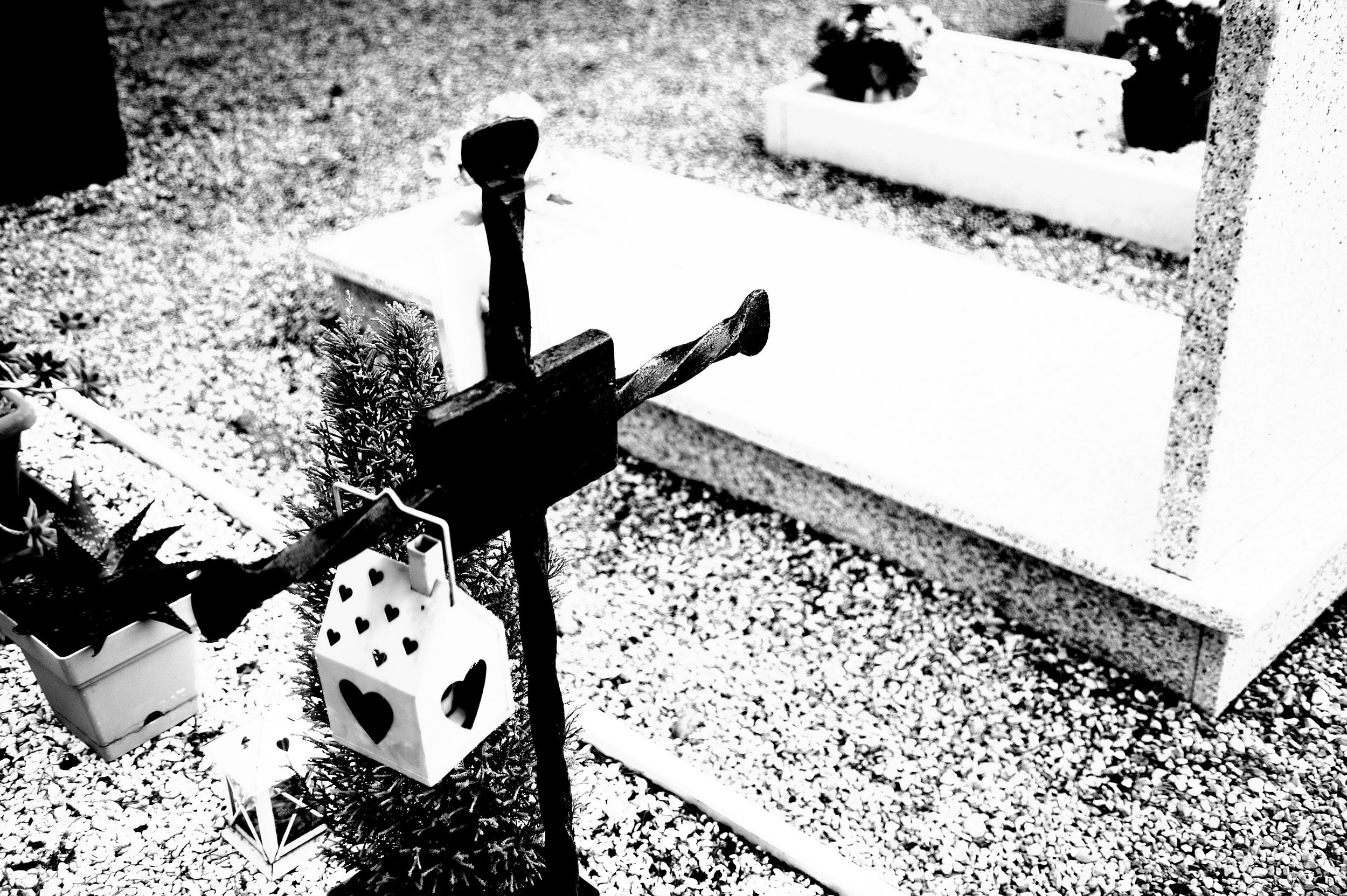 a cavallo a carnevale_4919.JPG