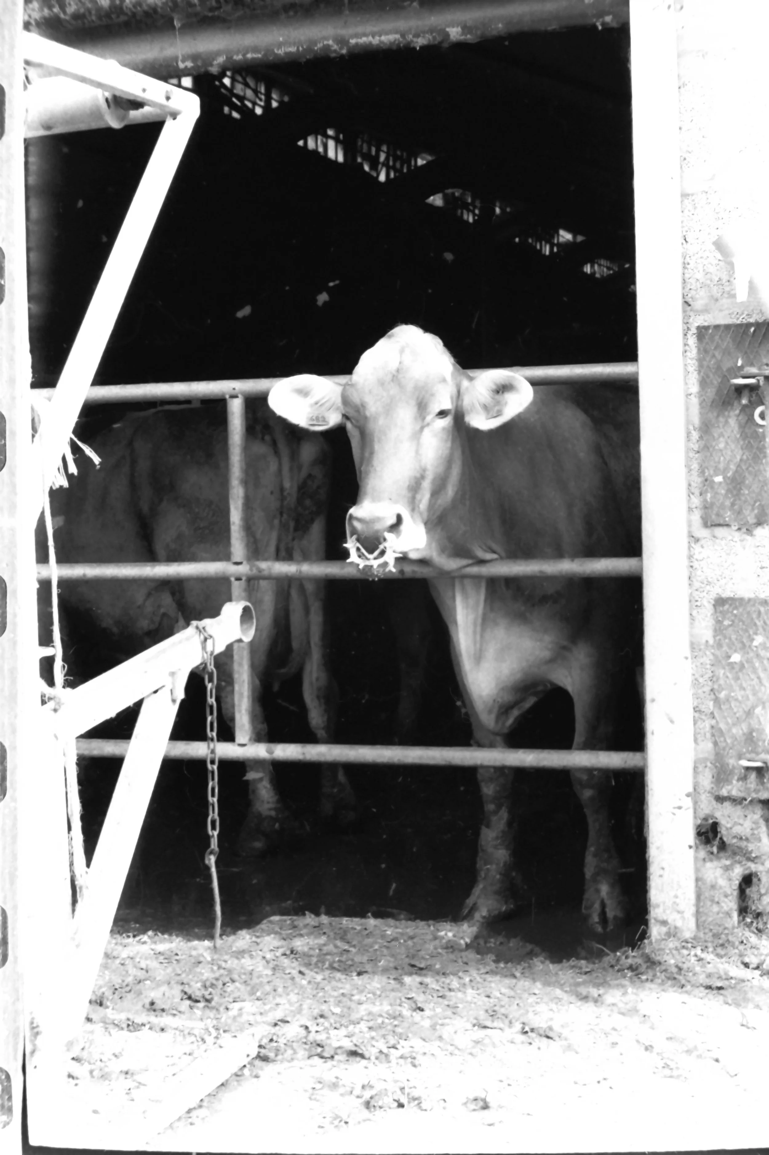 roffeno settembre_9098.JPG