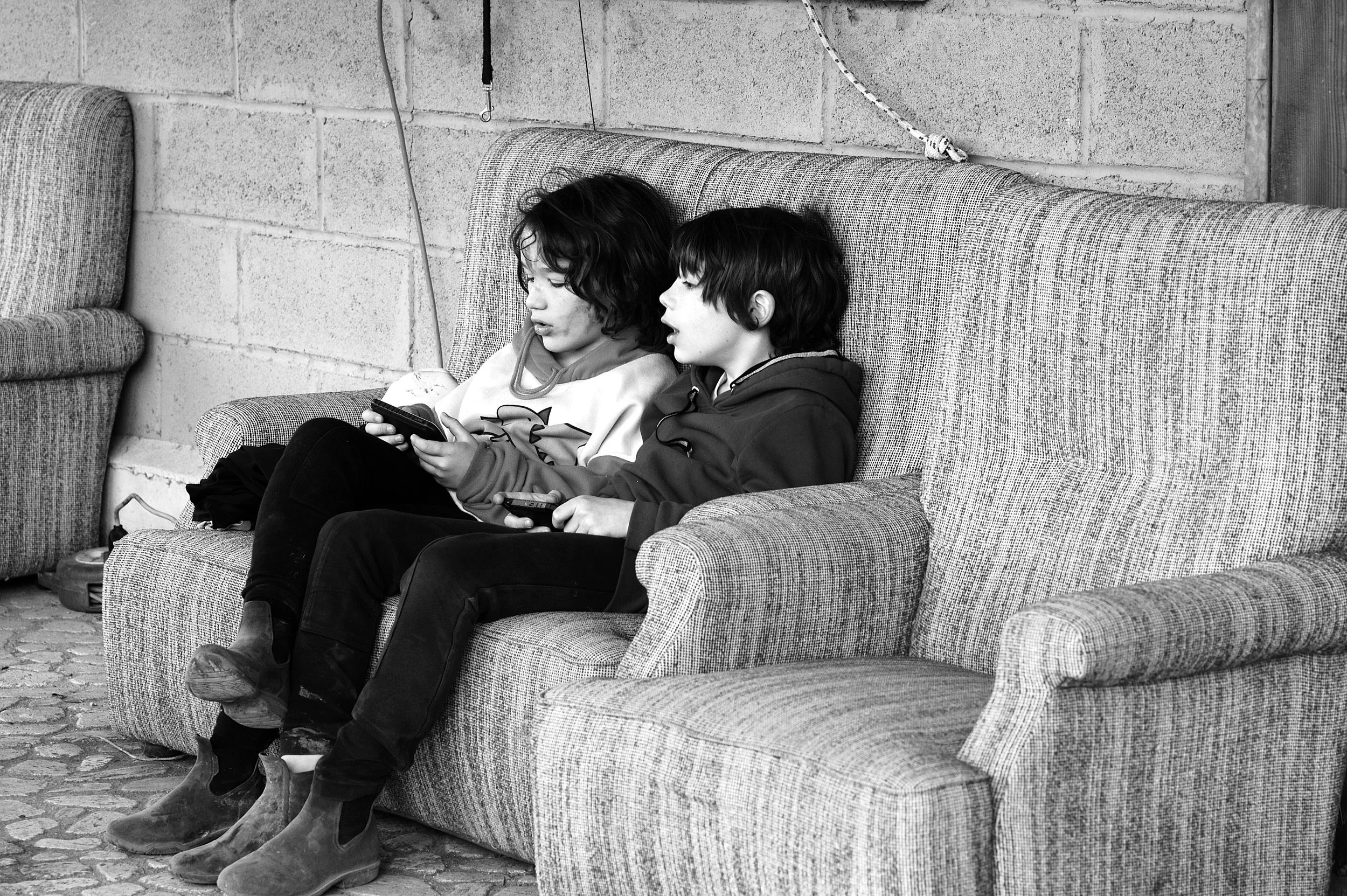 a cavallo a carnevale_4687.JPG