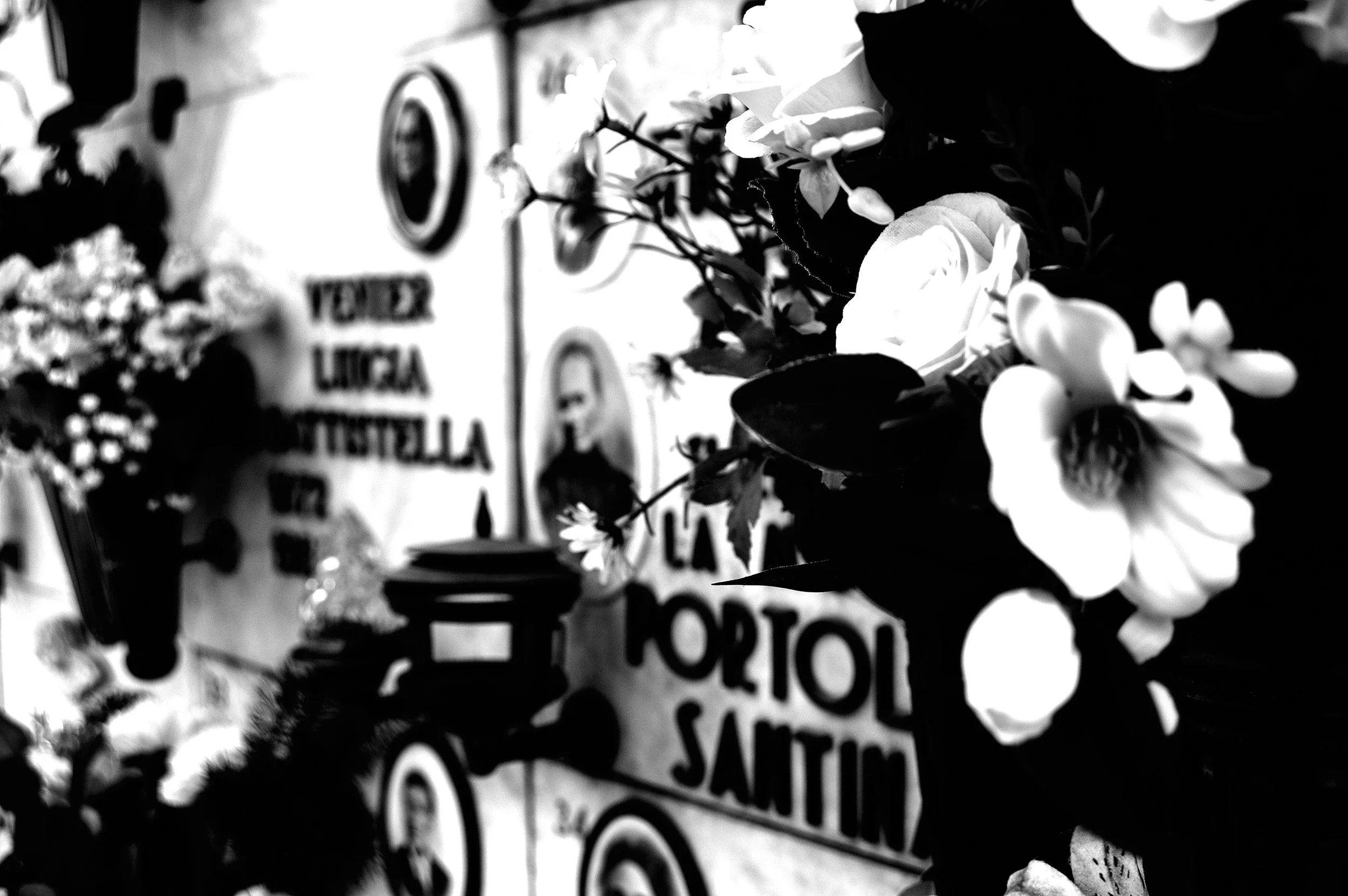 a cavallo a carnevale_4832.JPG