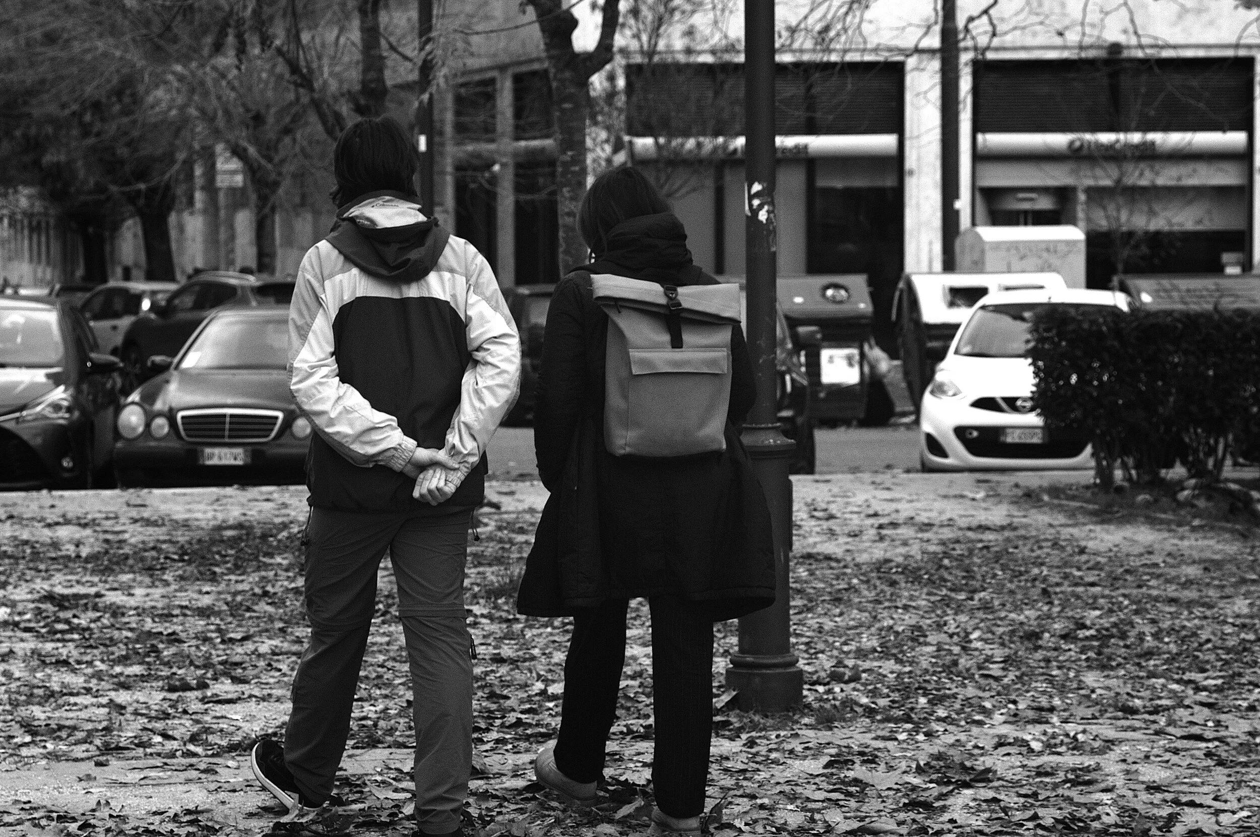 colla vinavyla foglie morte2_1885.JPG