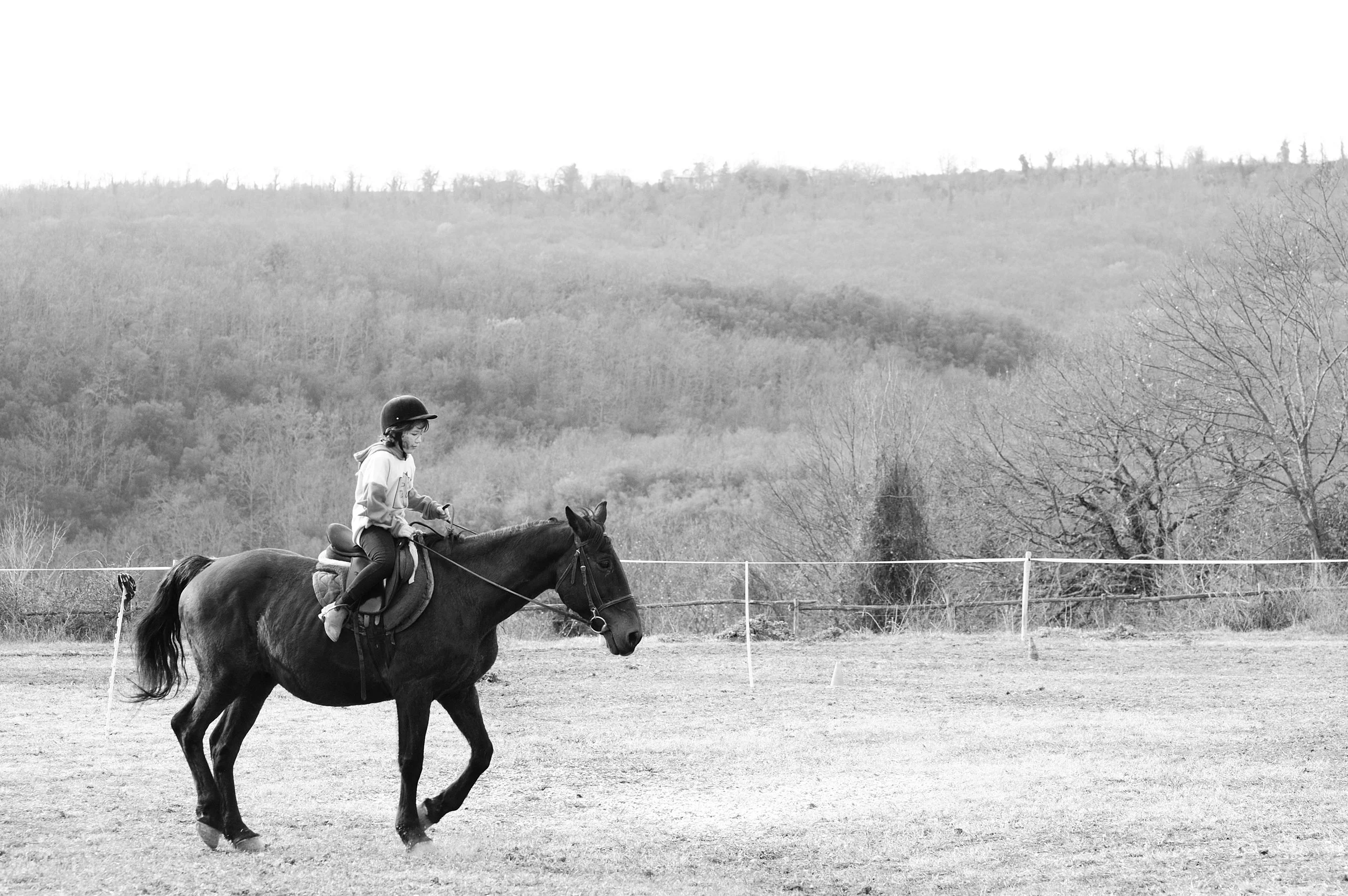 a cavallo a carnevale_4608.JPG