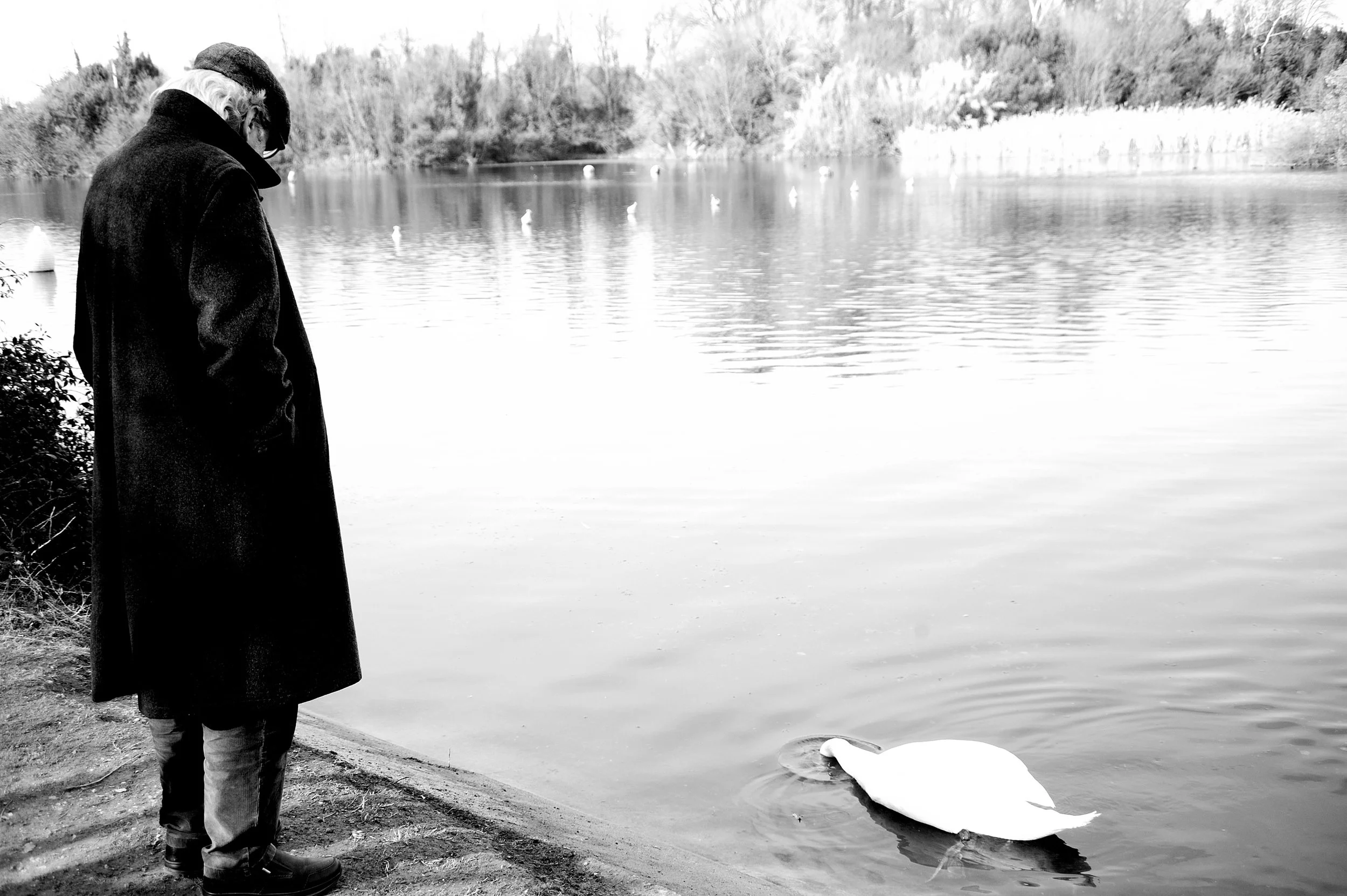 a cavallo a carnevale_4943.JPG